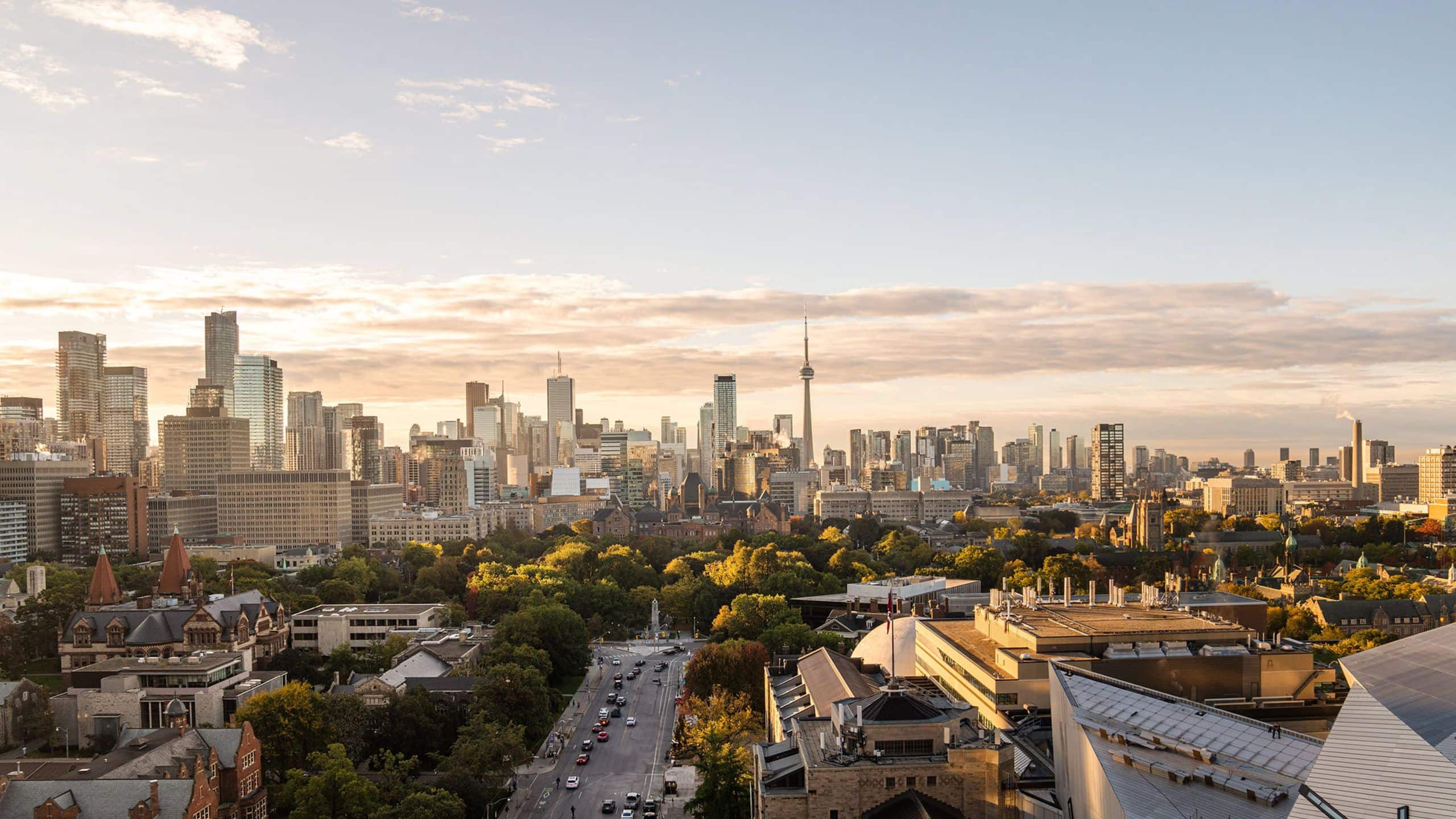 Golden hour bathes Toronto's skyline in honeyed light from this elevated perch, where the CN Tower punctuates a urban tapestry of gleaming towers and tree-lined neighborhoods.