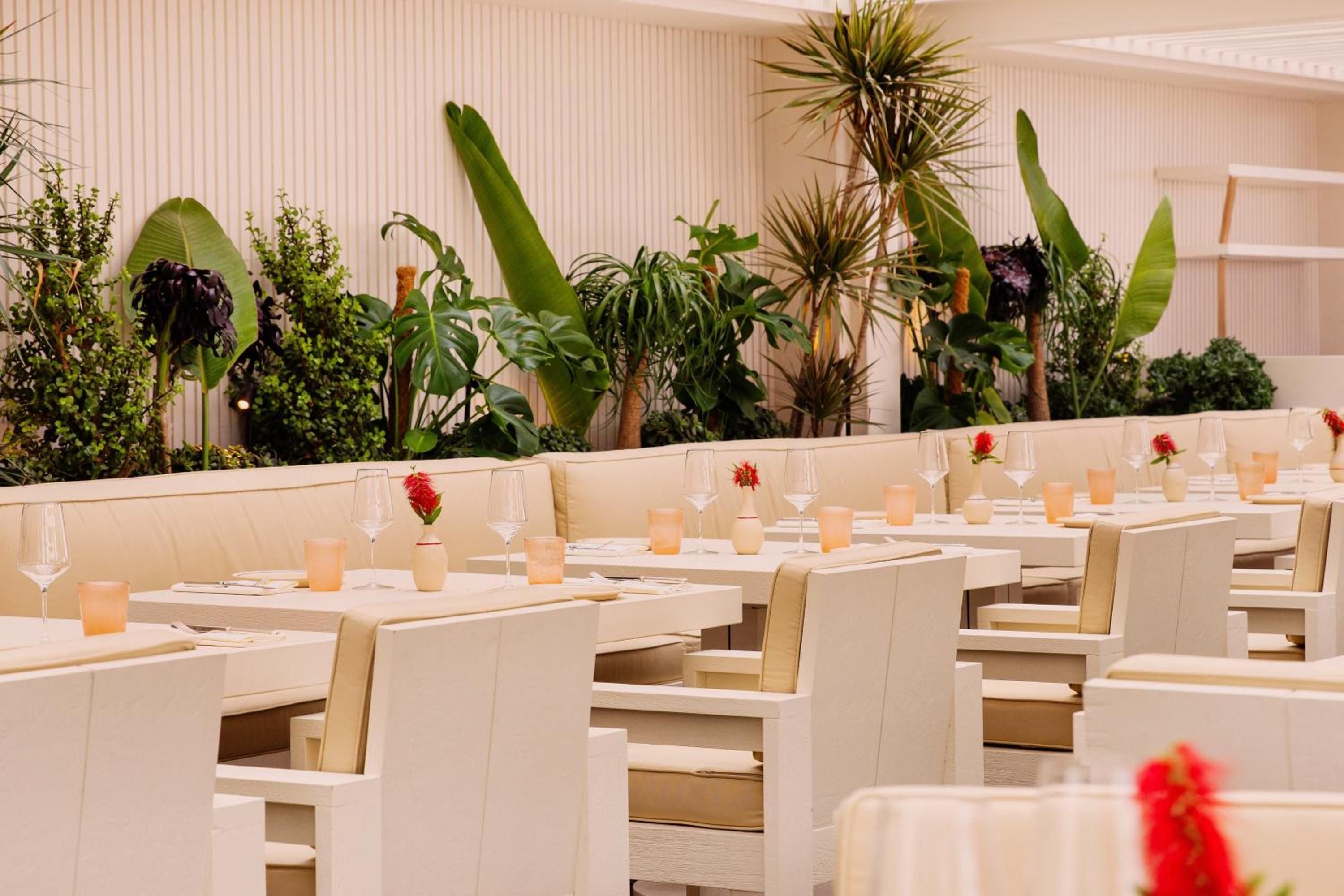 Warm candlelight flickers across blonde wood tables while tropical palms create an intimate dining sanctuary, blending Riviera sophistication with lush botanical charm.