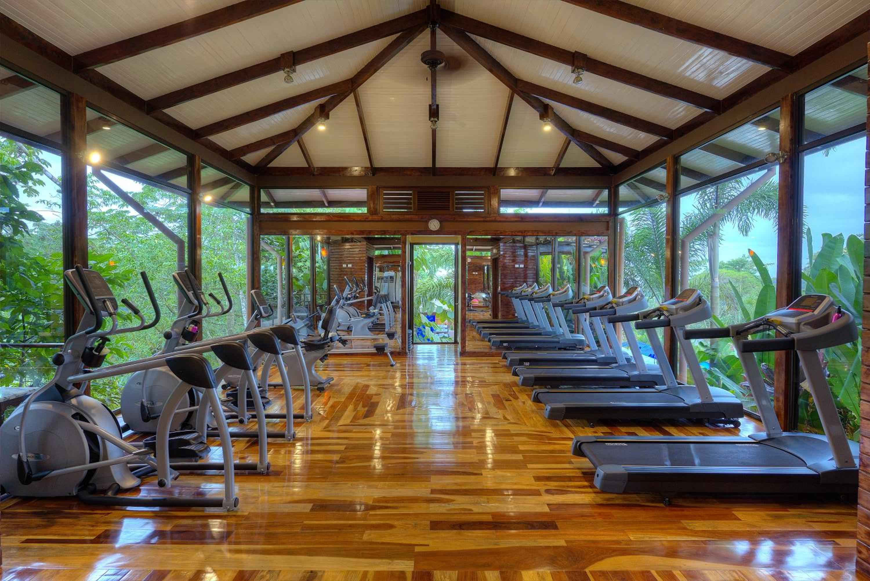 Floor-to-ceiling windows frame lush rainforest canopy while premium cardio equipment gleams against warm hardwood floors in this open-air fitness pavilion.