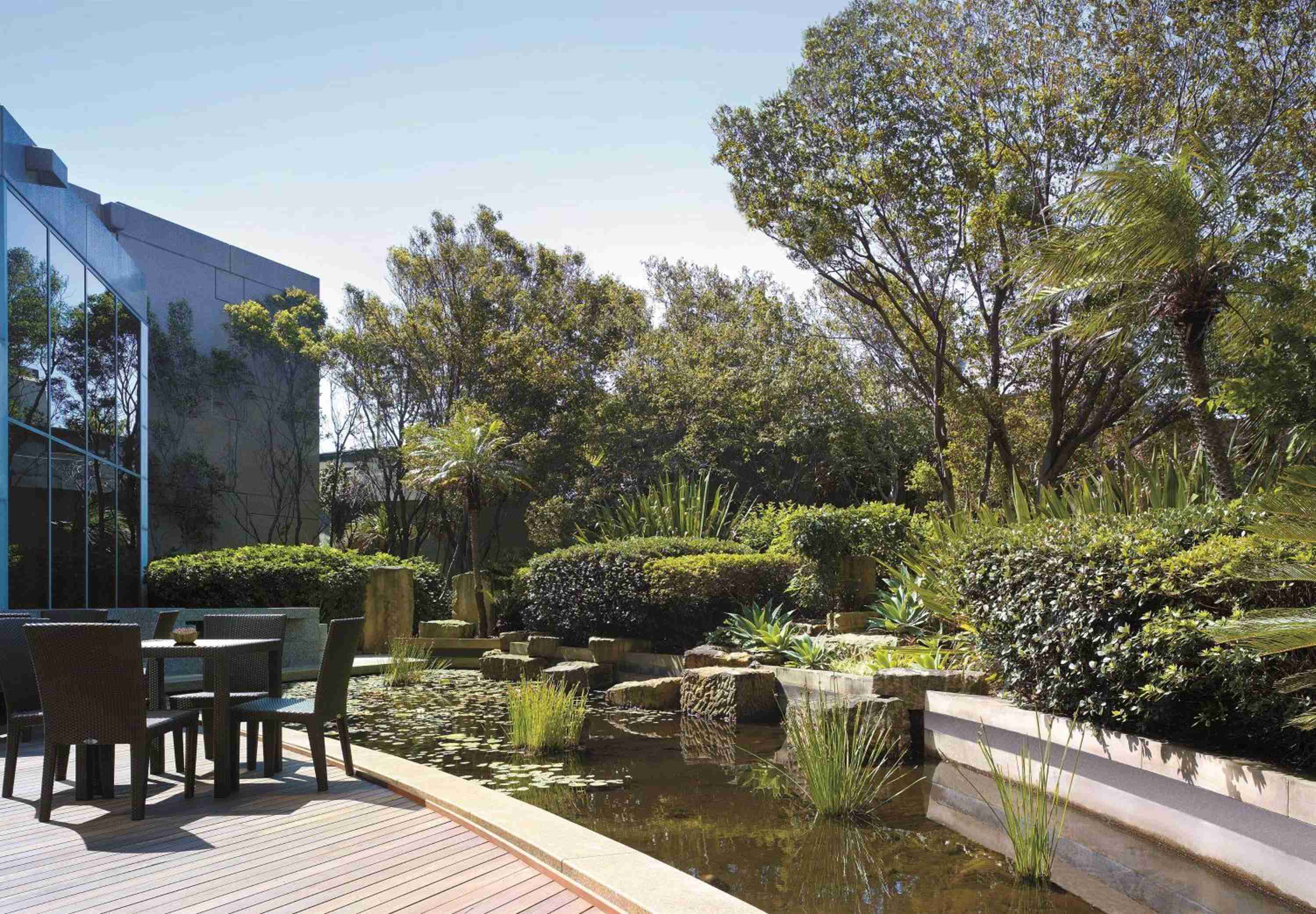 Natural stone terraces cascade toward tranquil reflection pools, where native plantings and weathered timber create an urban sanctuary beneath towering eucalyptus trees.