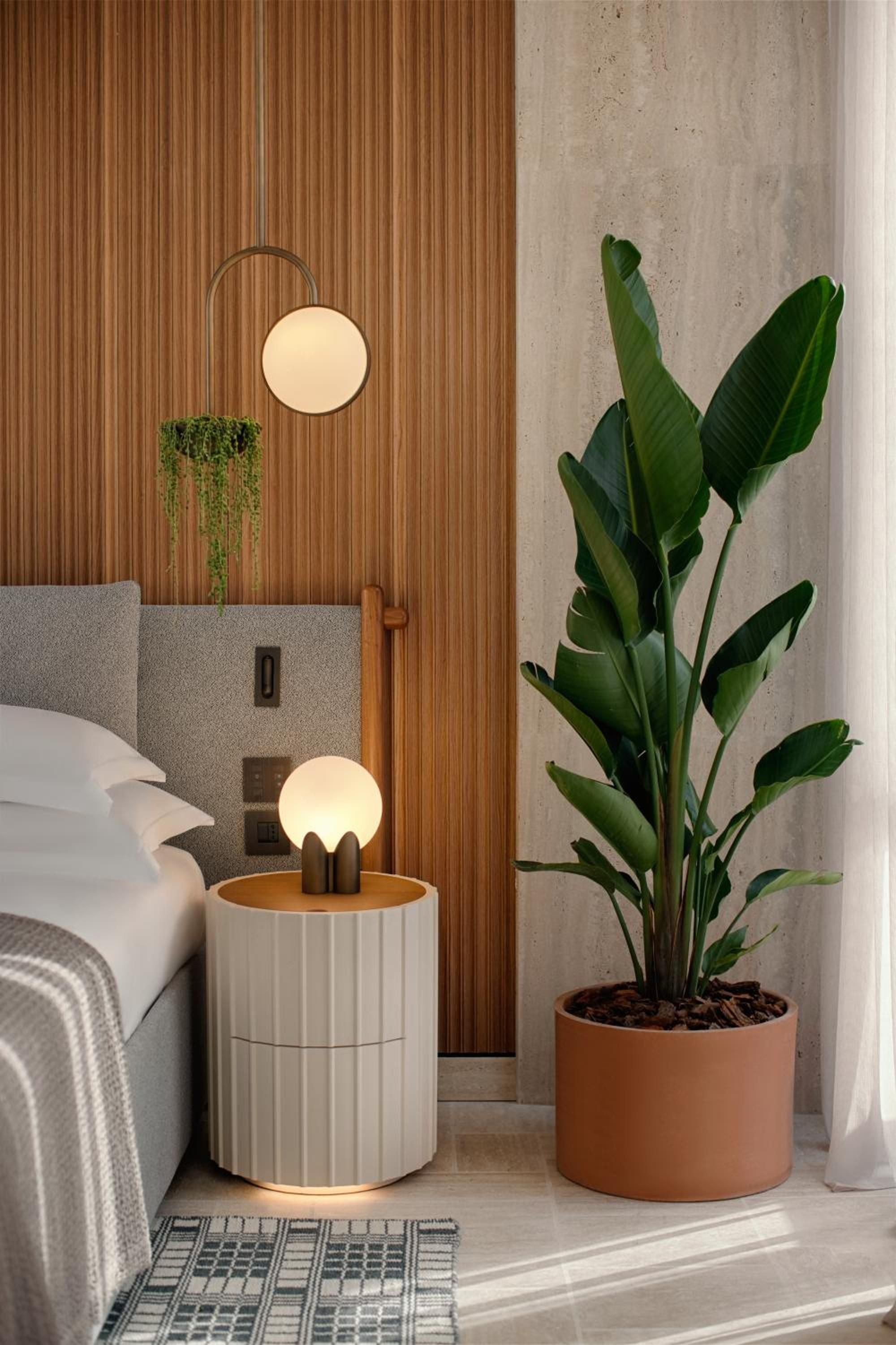 Warm wood paneling meets cool concrete in thoughtfully appointed suites, where sculptural lighting and verdant Bird of Paradise plants create intimate sanctuary moments.