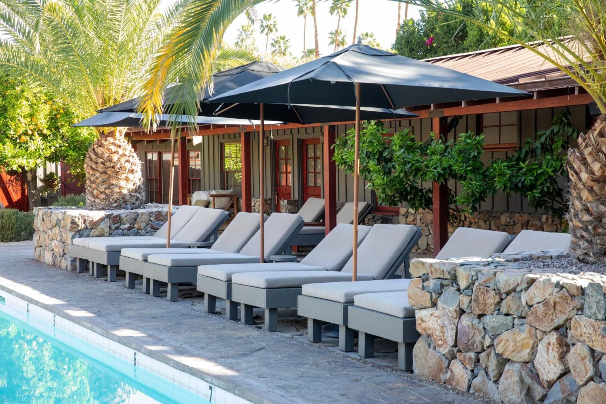 Gray lounge chairs line the pool deck beneath navy umbrellas, while palm trees frame the desert lodge's stone-accented architecture in dappled afternoon light.