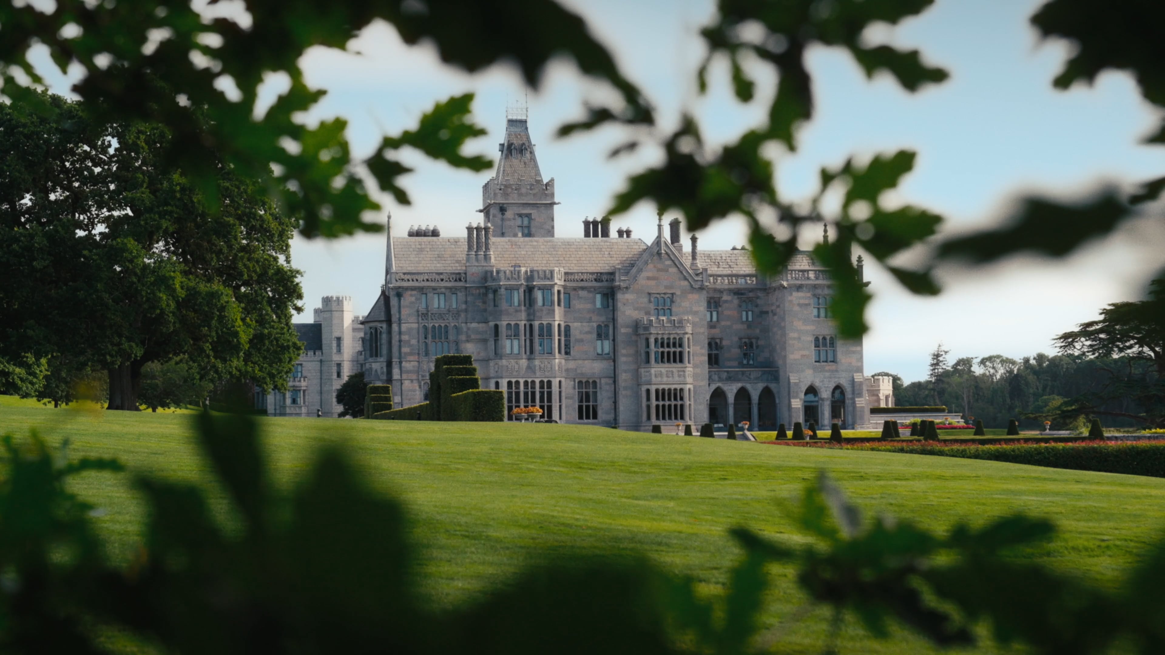 Gothic Revival grandeur emerges through ancient oak branches, where manicured lawns stretch toward honey-colored limestone walls and soaring towers that define Ireland's most palatial estate.