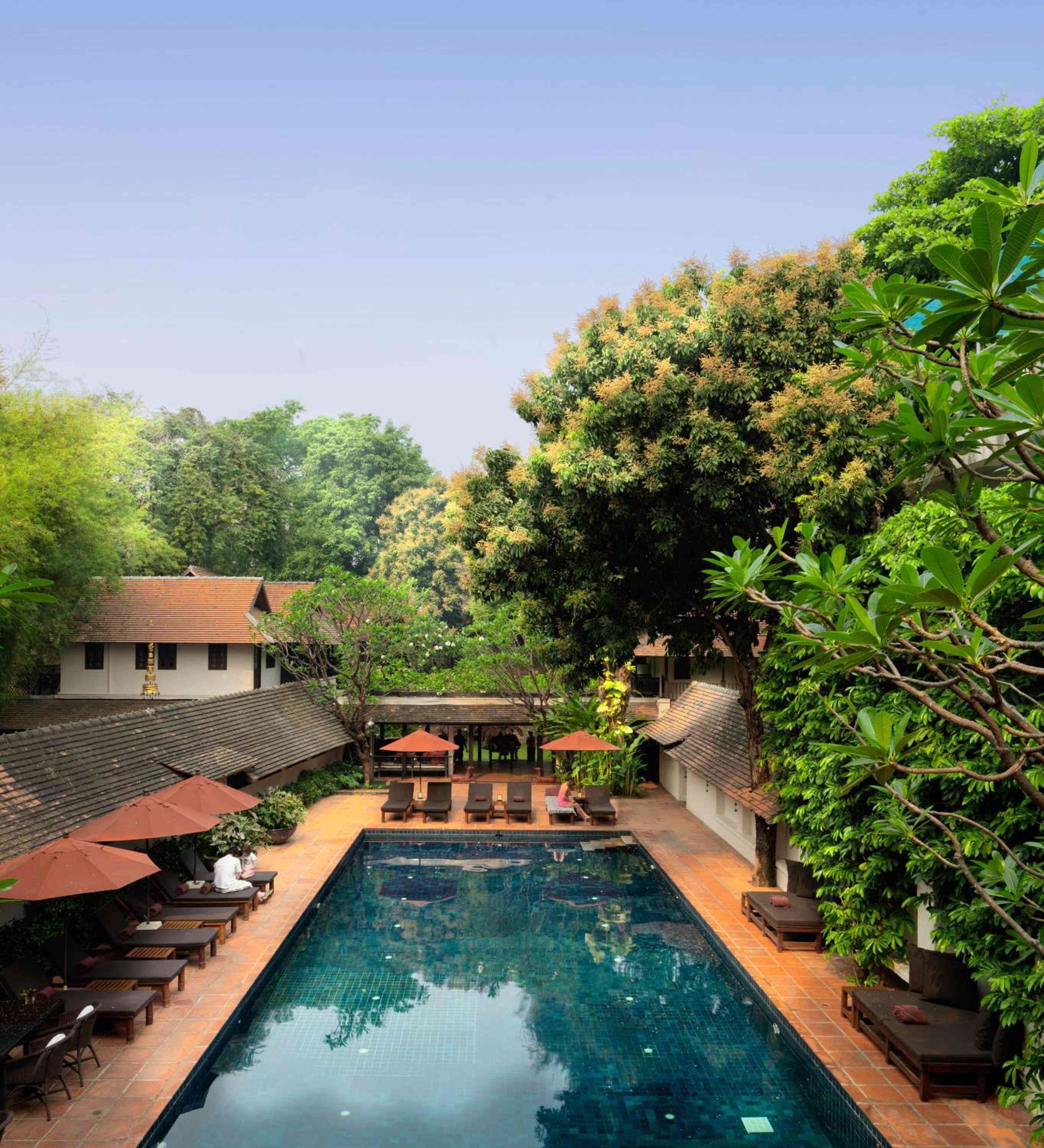 Terracotta tiles frame the azure swimming pool while frangipani branches cast dappled shadows across this tranquil colonial-style courtyard sanctuary.