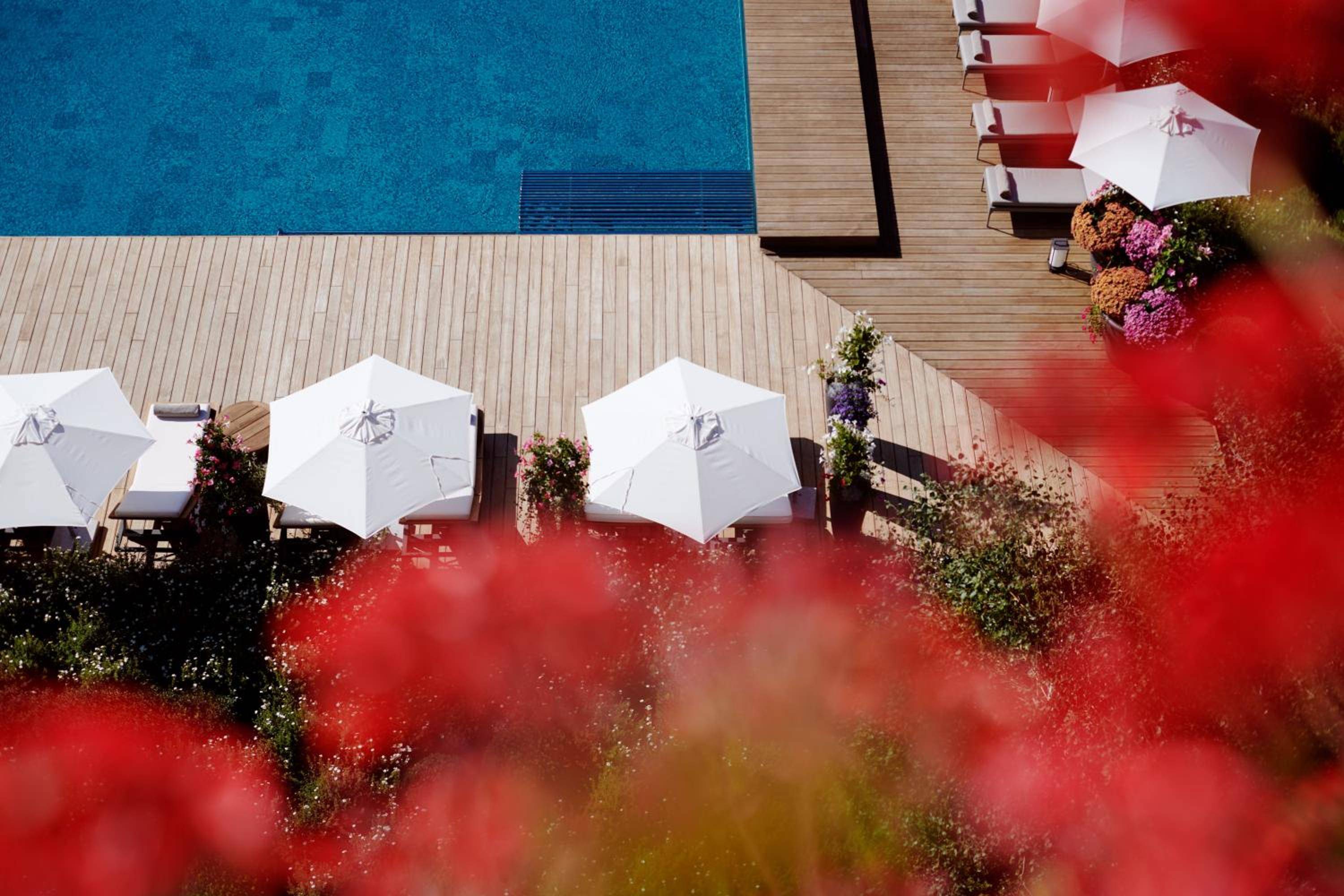 Azure waters meet warm wood decking where pristine white umbrellas dot the poolside terrace, framed by vibrant alpine blooms and mountain flora.
