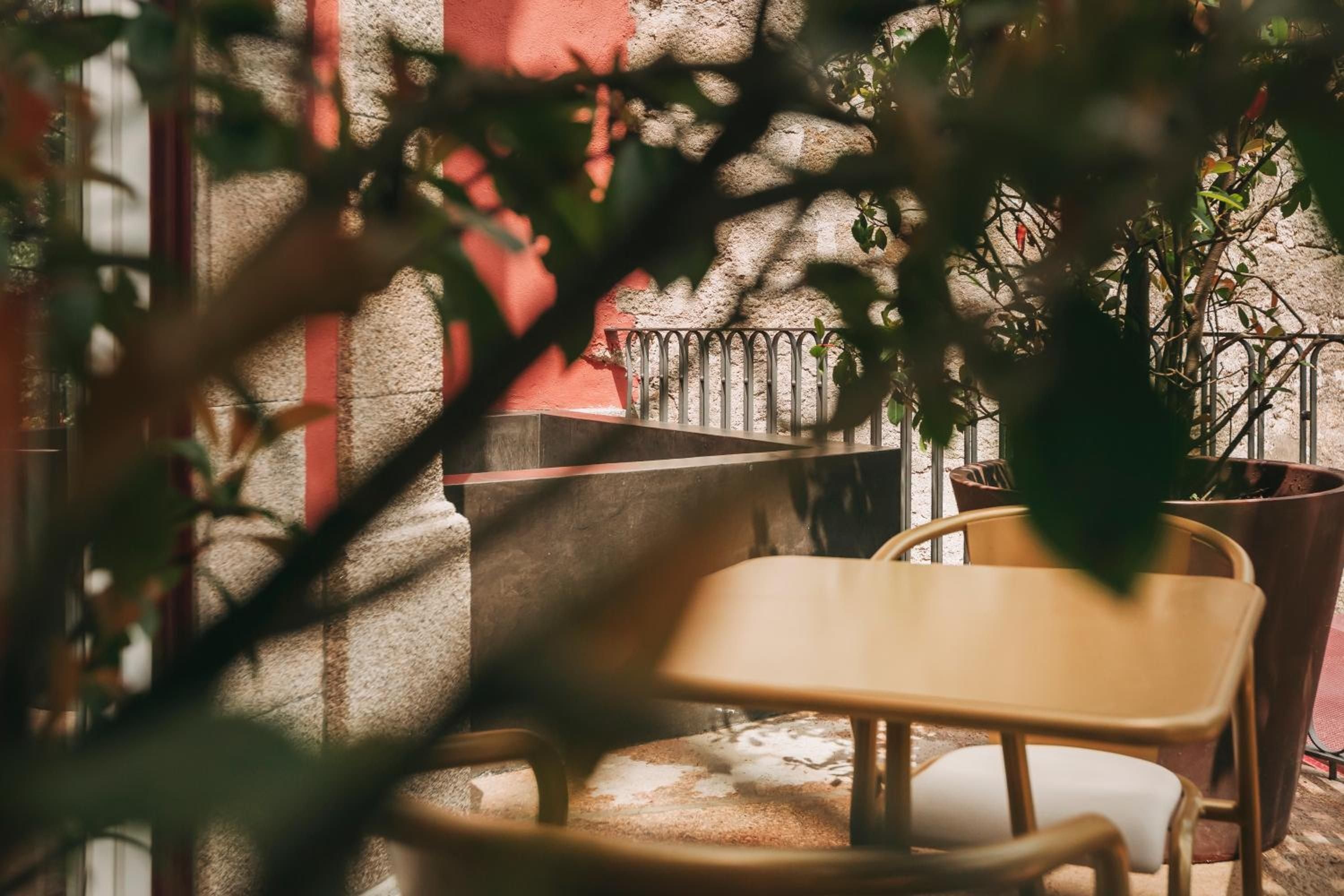 Dappled sunlight filters through leafy branches onto warm wooden chairs, creating an intimate corner where modern design meets organic Portuguese charm.
