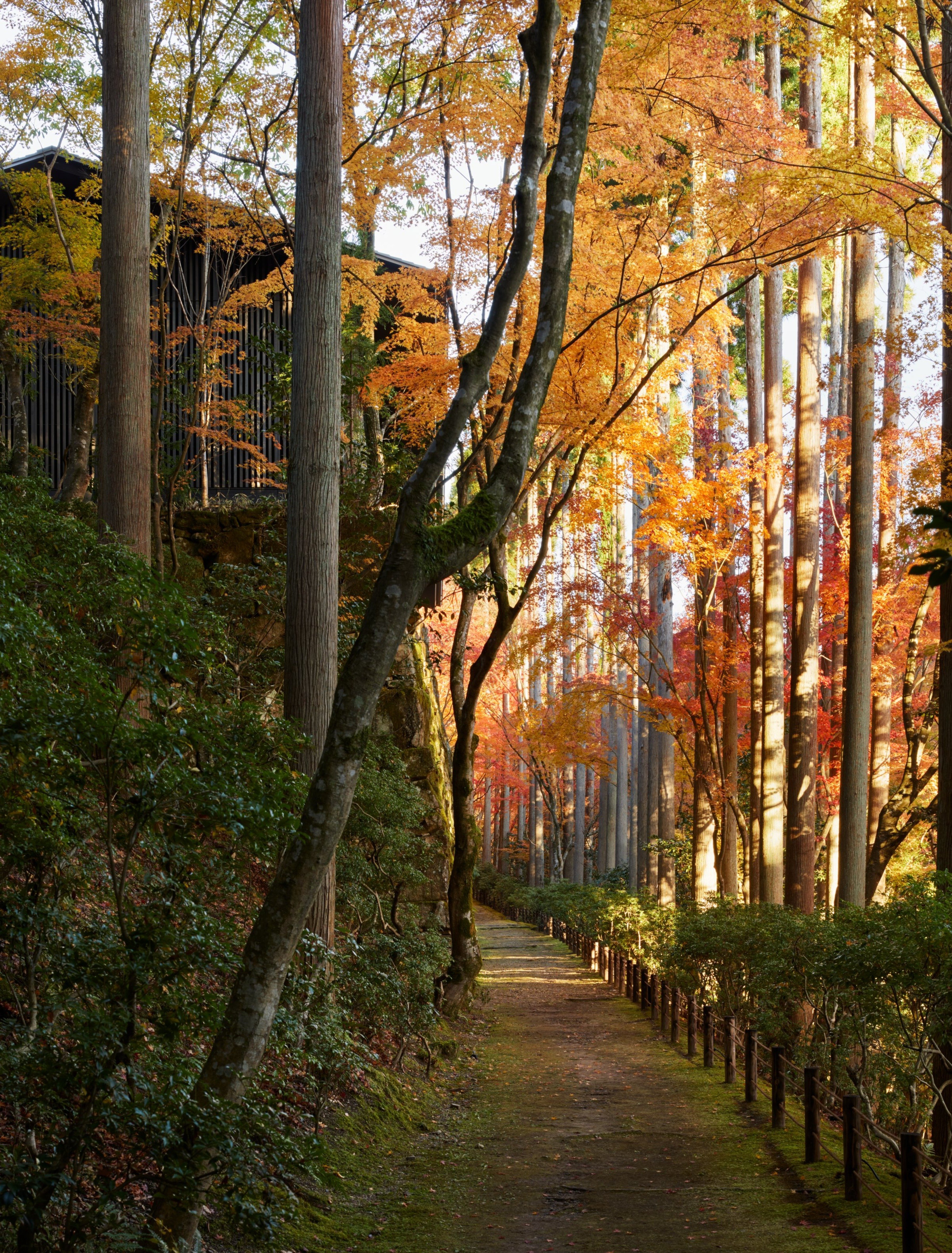 Aman Kyoto