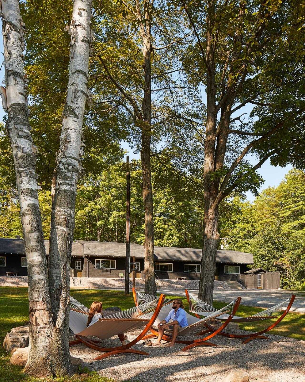 Orange hammock frames pop against towering birch trees, where guests find perfect perches for afternoon conversations amid the property's wooded sanctuary.