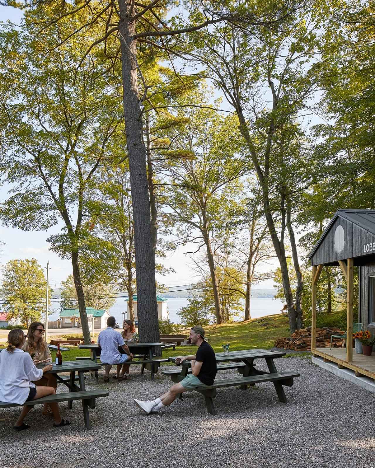 Guests gather around weathered picnic tables beneath towering maples, where gravel crunches underfoot and the rustic lobster shack promises fresh catches in an idyllic lakeside setting.