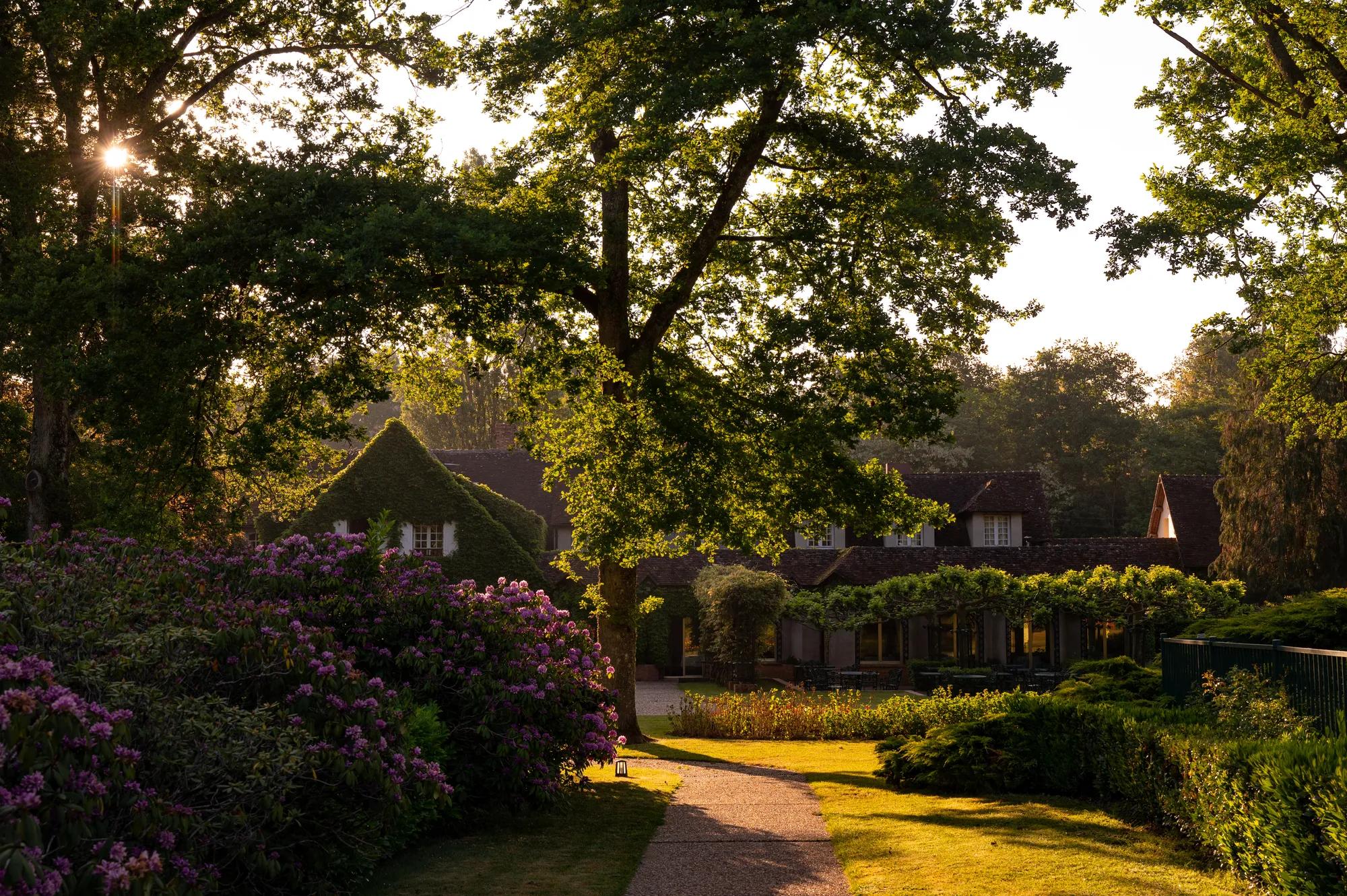 Where centuries-old gardens and Michelin-starred dining meet the quiet heart of the Loire in Boismorand, Centre-Val de Loire