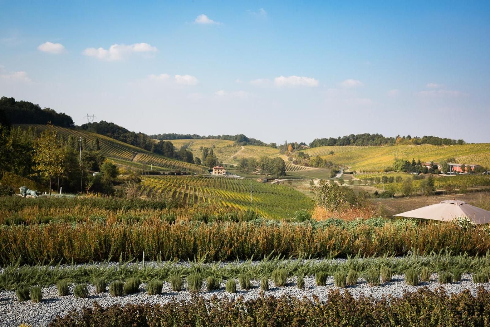Experience rustic elegance at Locanda La Raia, Gavi in Gavi, Piemonte