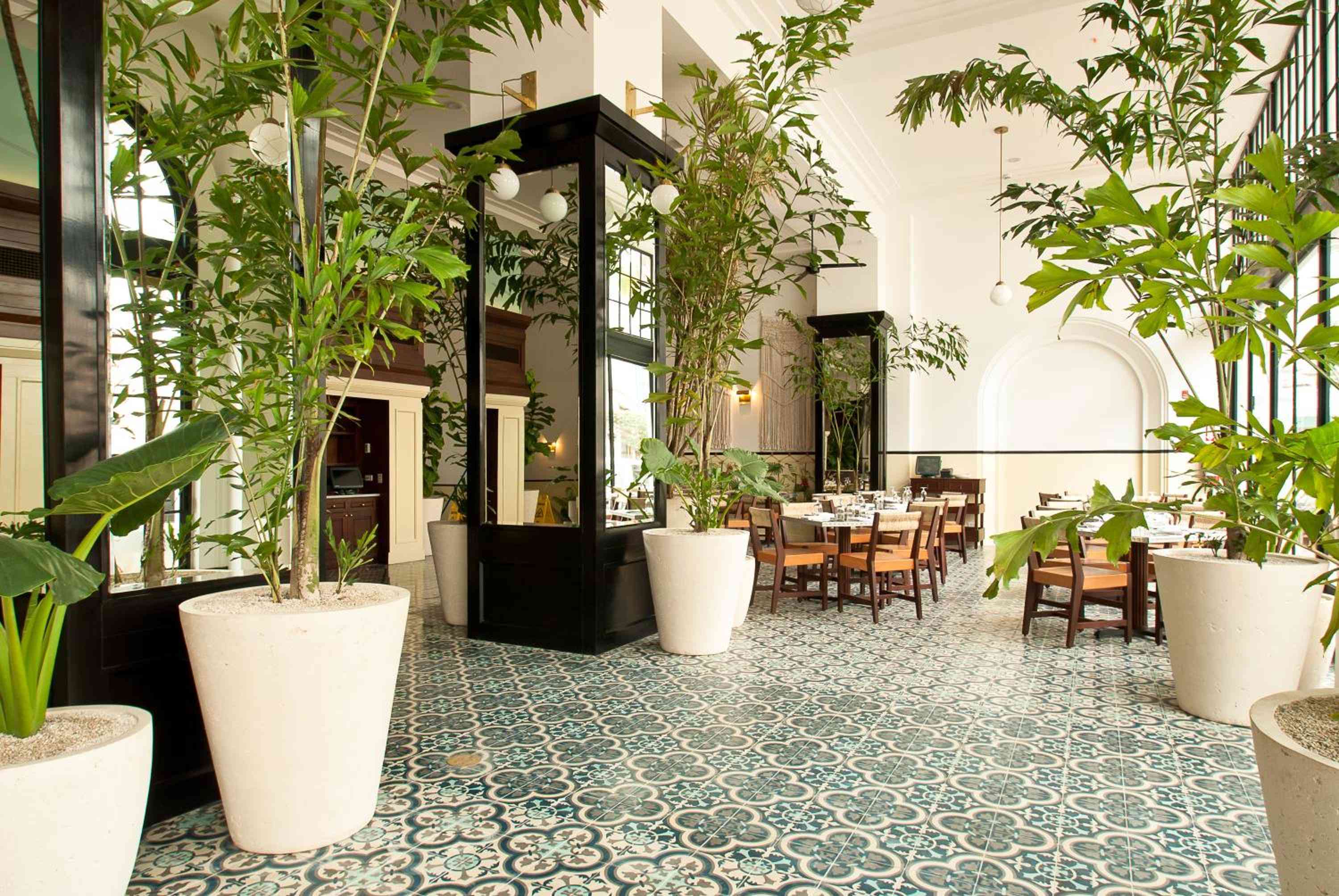 Lush tropical plants in sculptural white planters transform the dining room into an urban oasis, where intricate patterned tiles meet soaring ceilings and natural light.