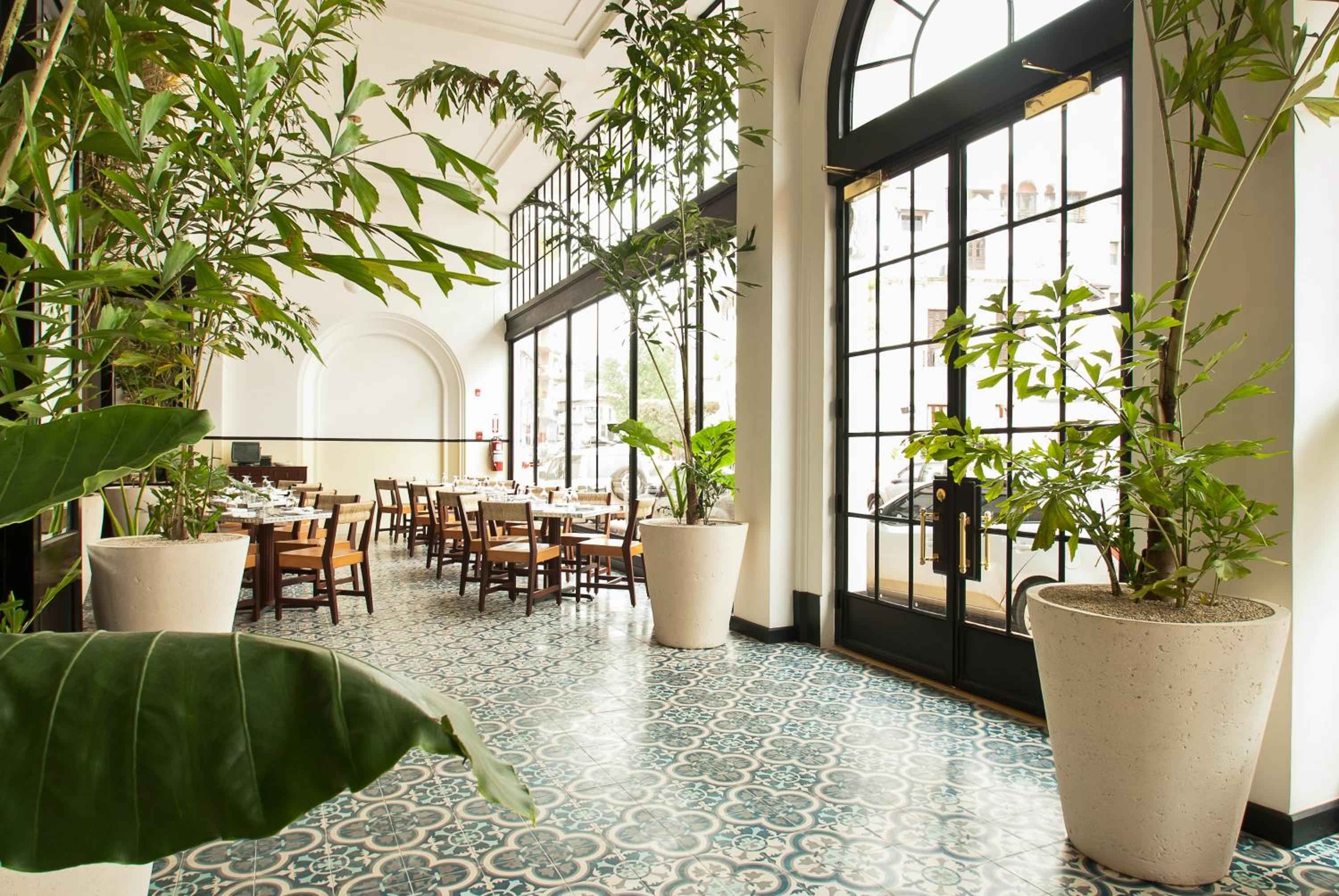 Lush tropical plants in oversized planters create an urban jungle atmosphere in the hotel's restaurant, where patterned tiles and soaring windows blur indoor-outdoor boundaries.