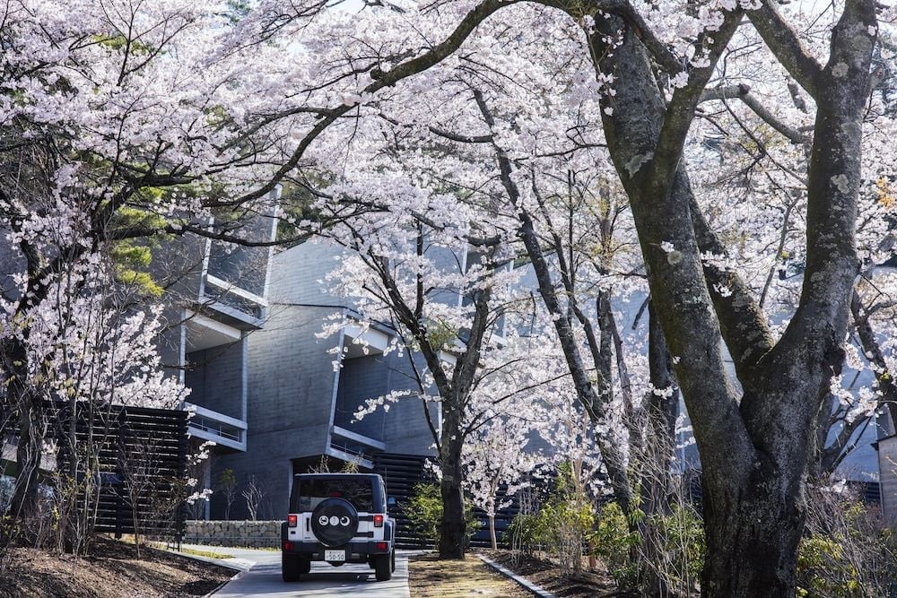 Where the mountain meets the treeline and glamping becomes something far more considered in Fujikawaguchiko, Yamanashi