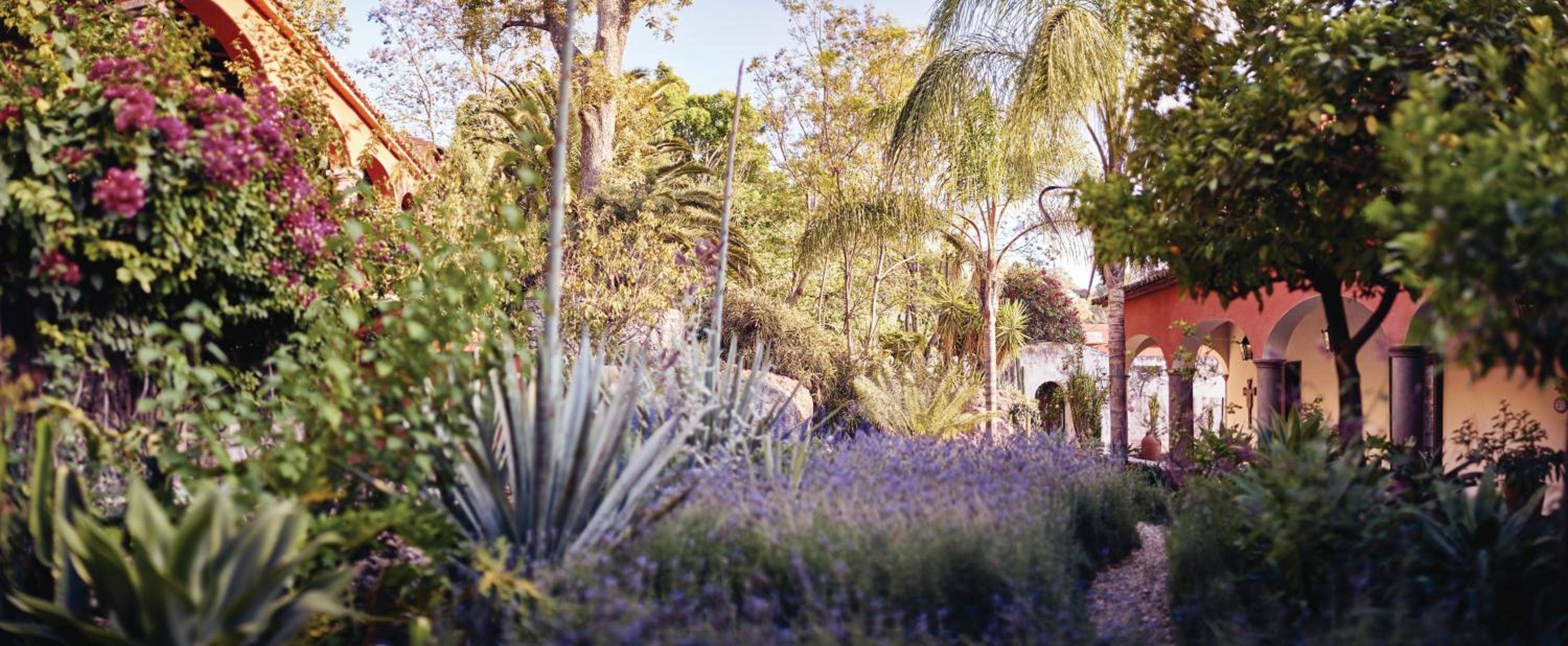 Lavender borders and agave spikes frame meandering pathways through Casa de Sierra Nevada's lush courtyards, where colonial architecture meets Mexico's vibrant botanical heritage.
