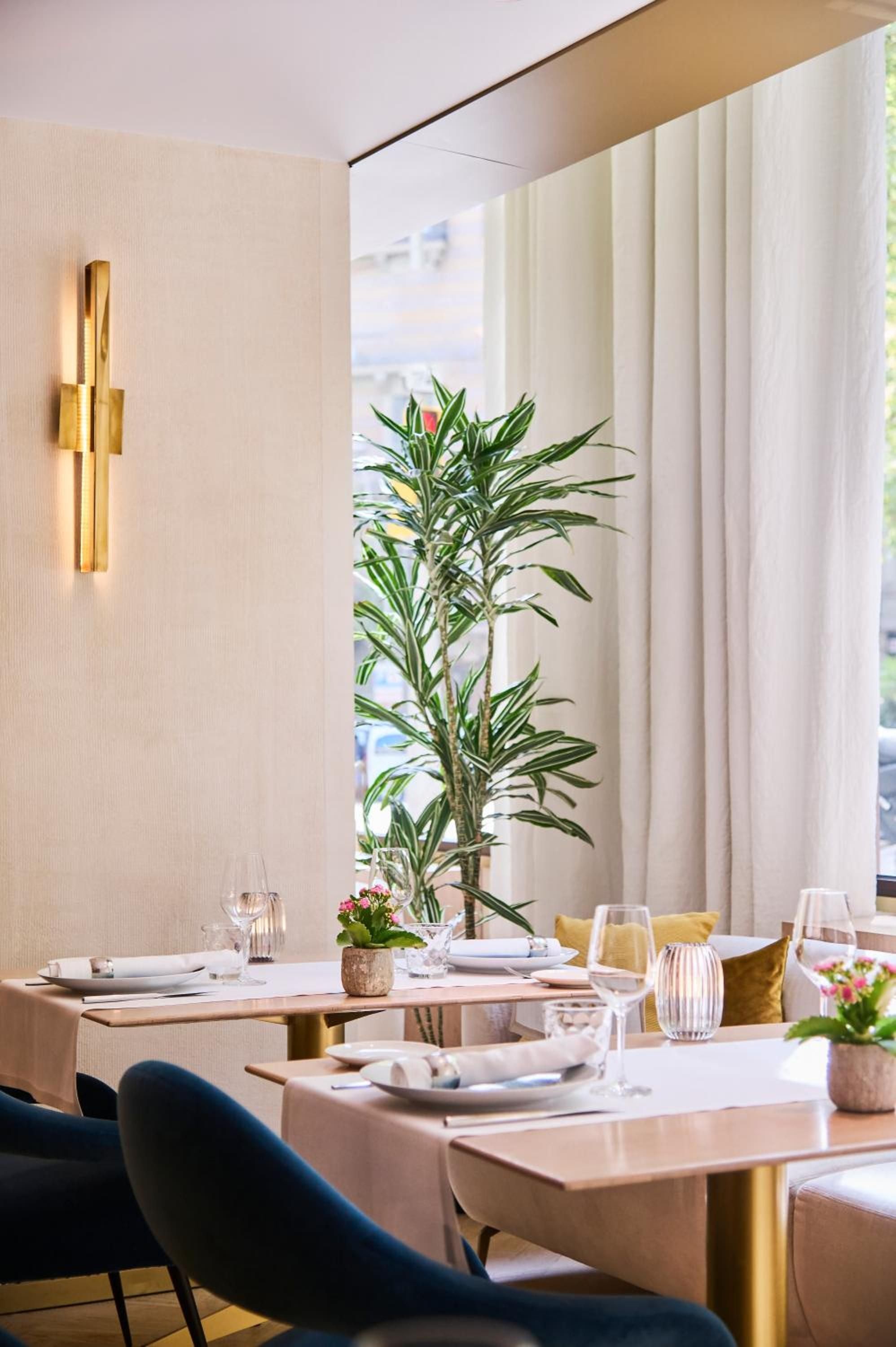 Golden sconces cast warm light across intimate dining tables where navy velvet chairs and tropical greenery create Barcelona's most sophisticated culinary sanctuary.