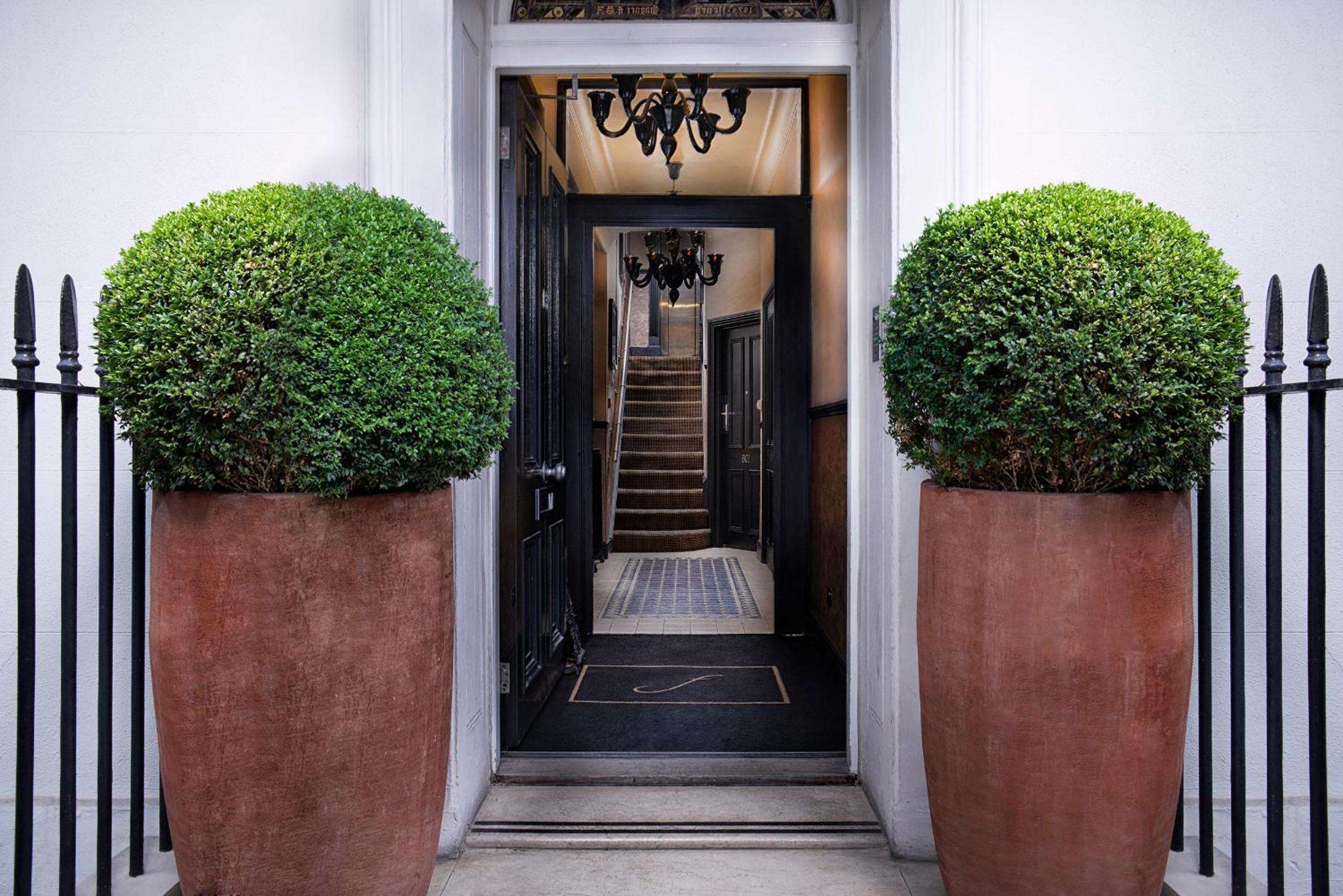 Perfectly sculpted boxwood topiaries in terracotta planters frame the hotel's sophisticated black door entrance, where wrought iron railings hint at Mayfair's Georgian elegance.