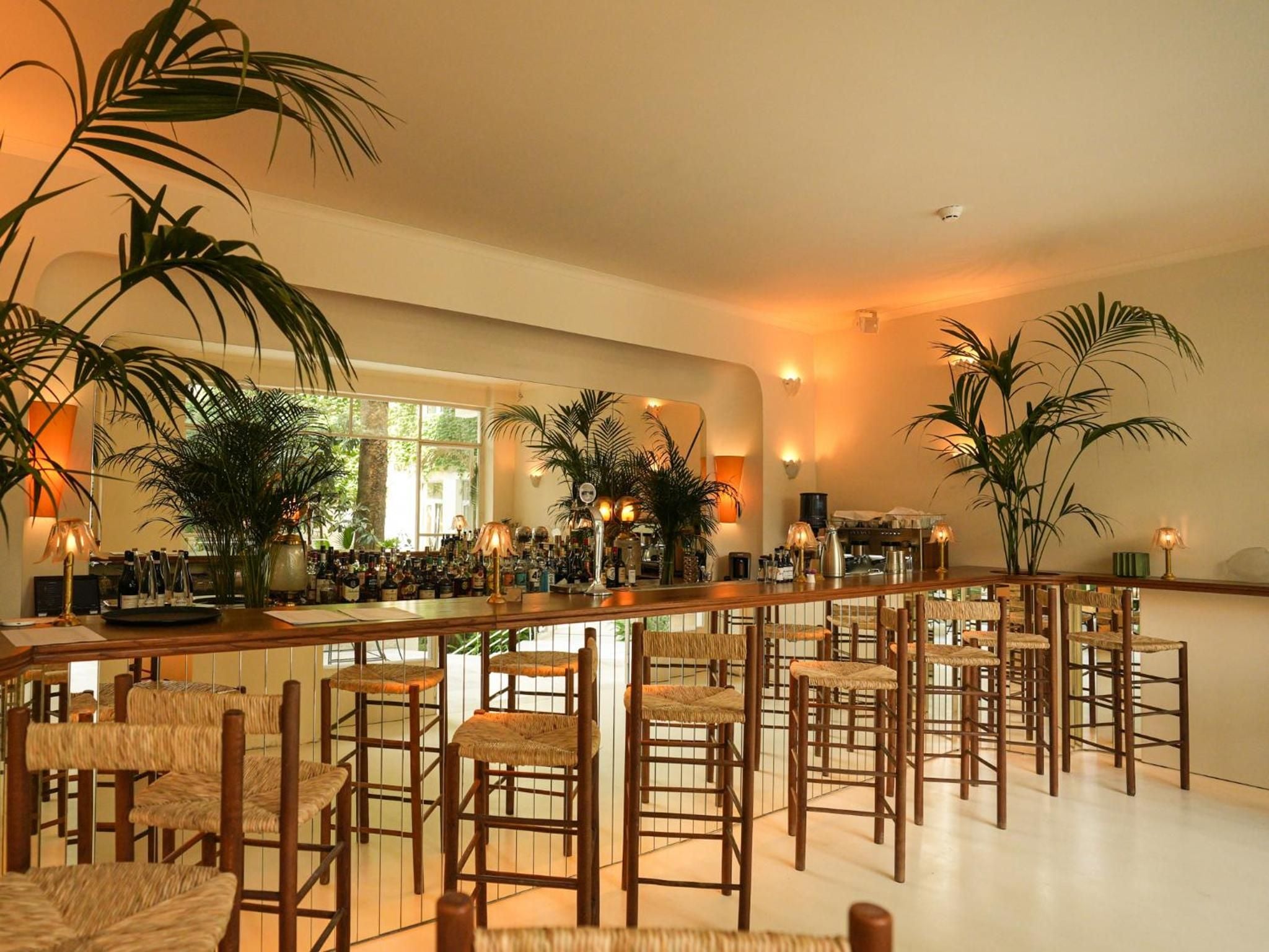 Warm amber lighting bathes the sleek bar, where woven rush stools line polished wood counters beneath graceful palm fronds and rows of premium spirits.