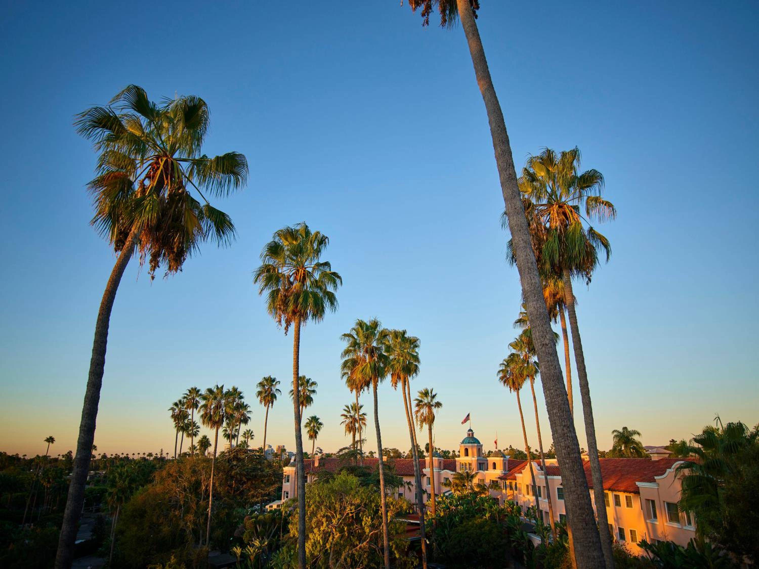 Golden hour light bathes towering palms and Spanish Colonial architecture, where Beverly Hills' legendary pink palace presides over manicured grounds like a Mediterranean dream.