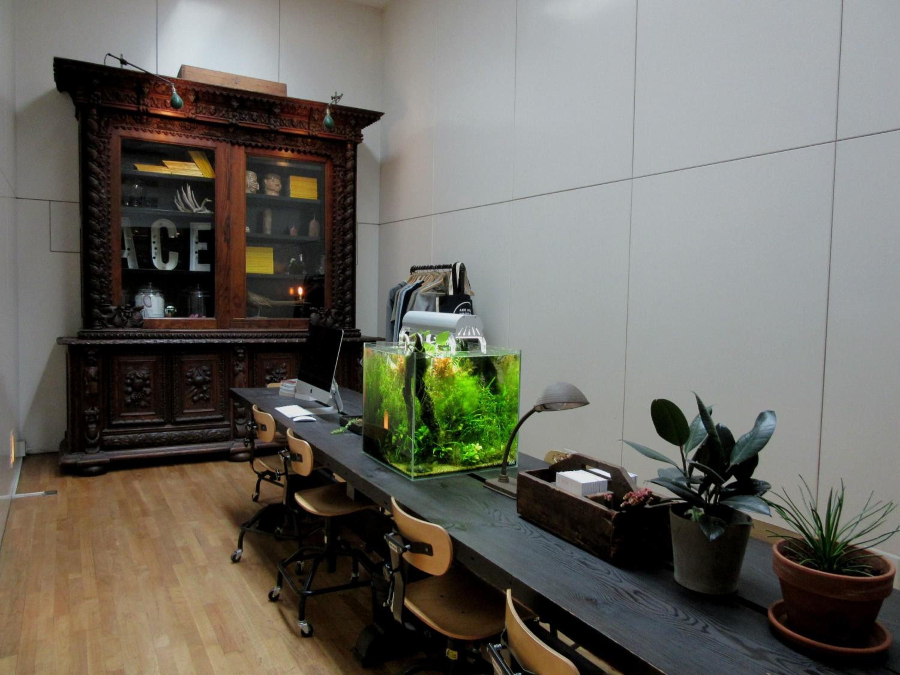 Vintage apothecary cabinets meet modern workspace vibes, where a glowing aquarium and thriving plants create an unexpectedly serene corner for laptop sessions.