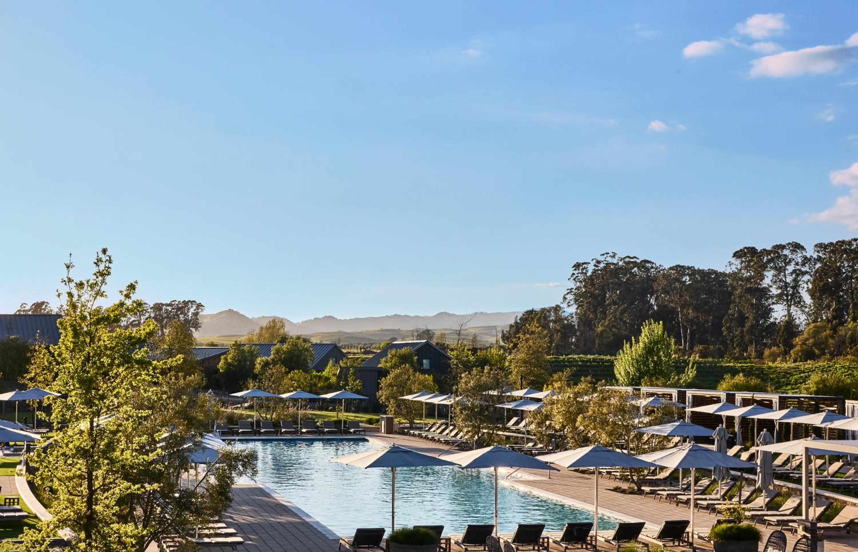 Seven hundred acres of vineyard and oak between the Mayacamas and the bay in Napa, CA