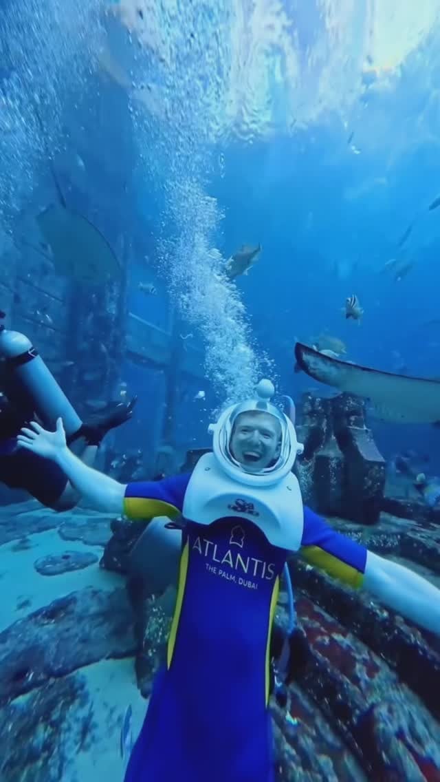 Underwater adventure beckons at this Dubai attraction, where crystal-clear waters reveal marine life swimming alongside visitors in specialized diving gear exploring the depths.