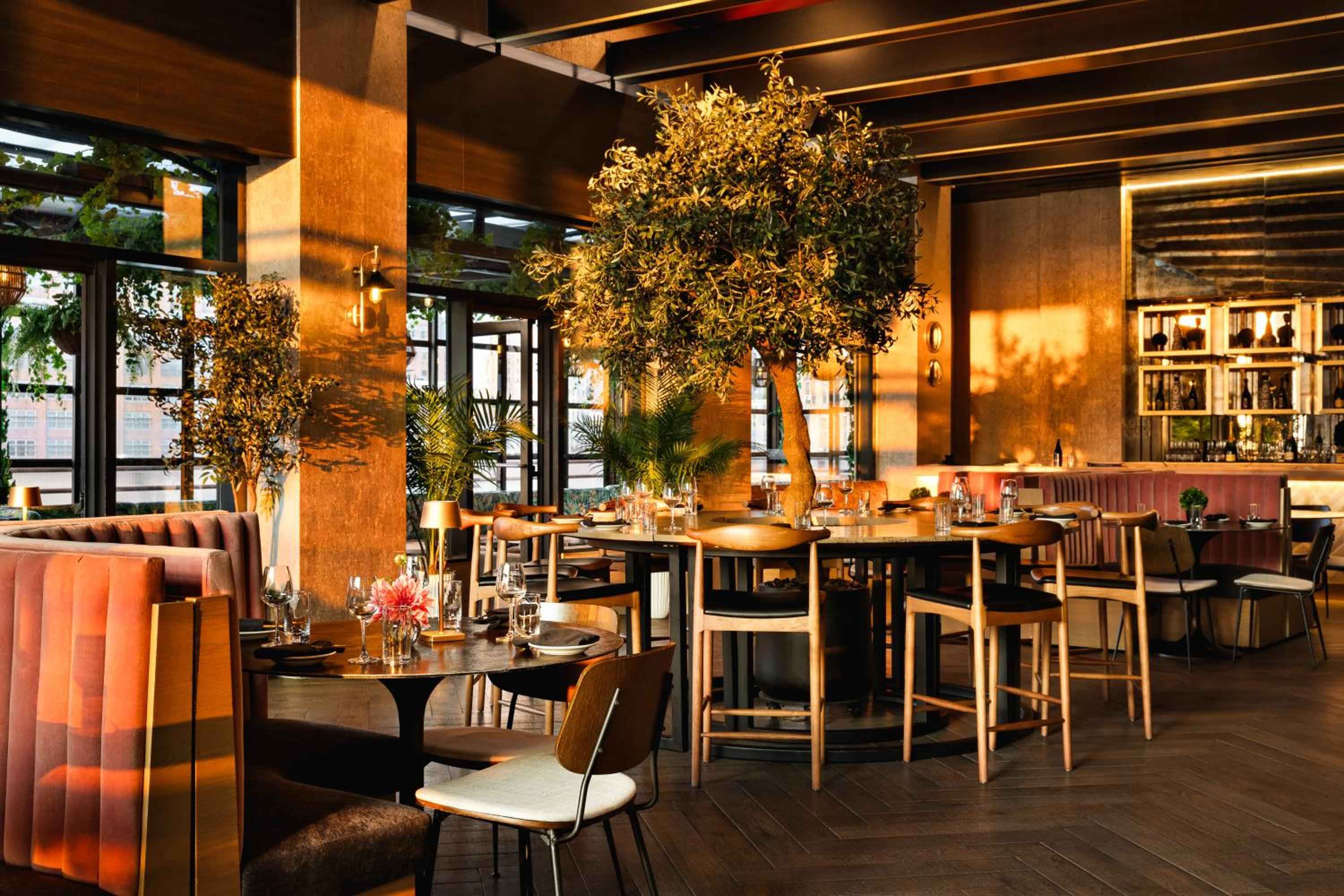 Warm coral banquettes and abundant greenery create an inviting urban oasis, where golden light filters through floor-to-ceiling windows onto intimate dining tables.