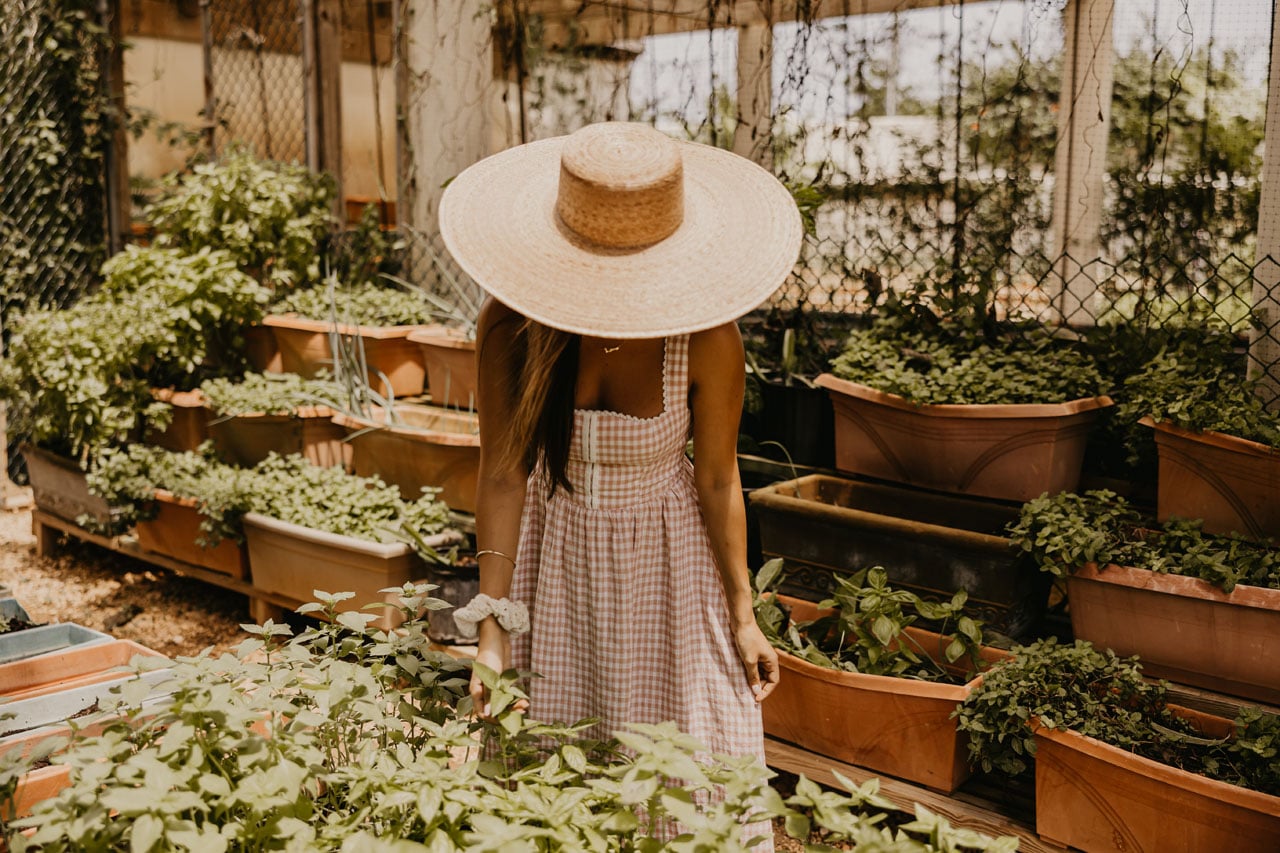 Sunlight filters through a wide-brimmed hat as guests tend to flourishing herb gardens in raised wooden planters, embodying the property's farm-to-table philosophy.
