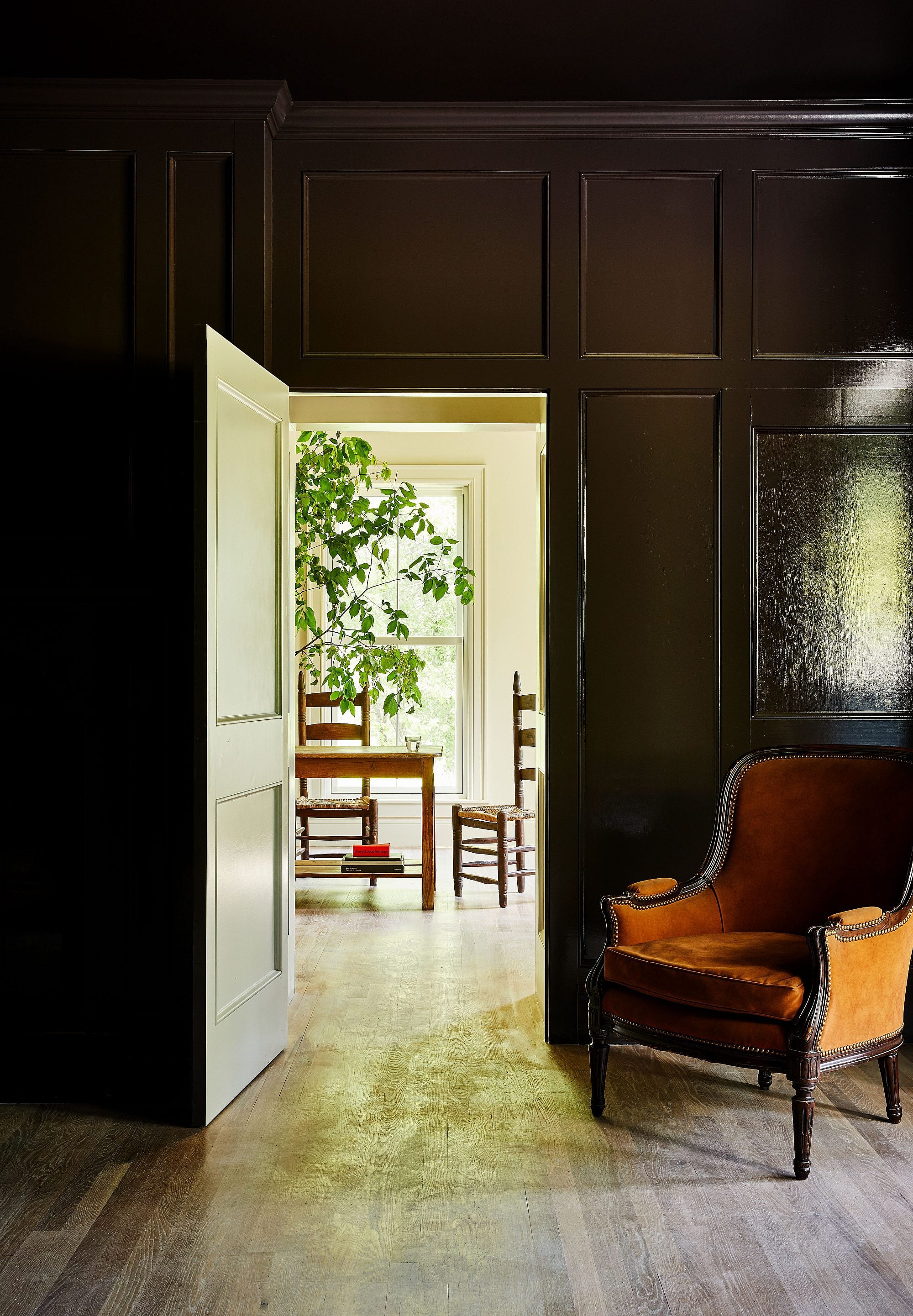 Dark chocolate paneling creates intimate drama in this study, where golden light spills through the doorway toward a sun-drenched workspace adorned with trailing greenery.