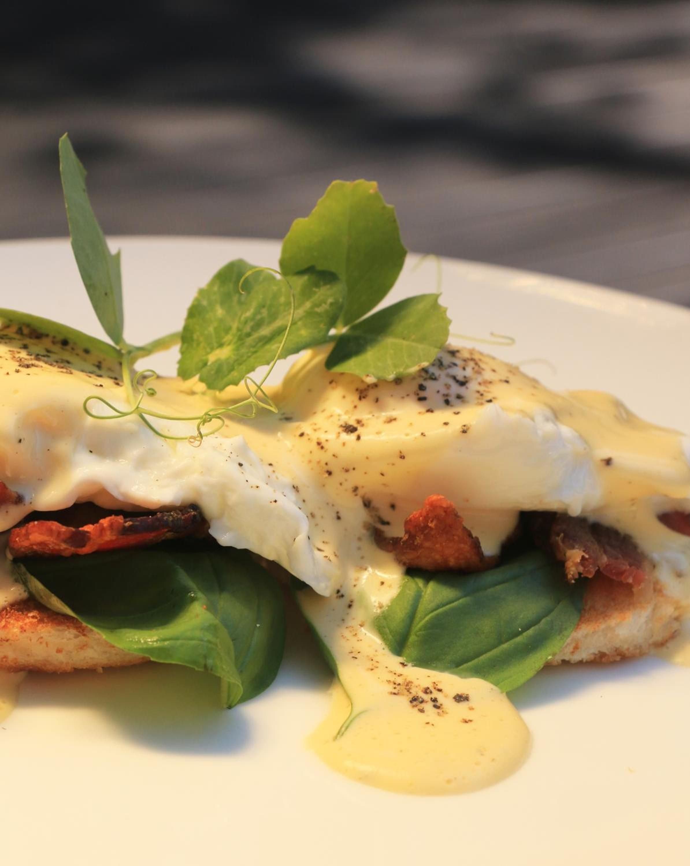 Artfully plated cuisine showcases local ingredients with delicate microgreens and sun-dried tomatoes, reflecting the lodge's commitment to farm-to-table sophistication along the Zambezi.