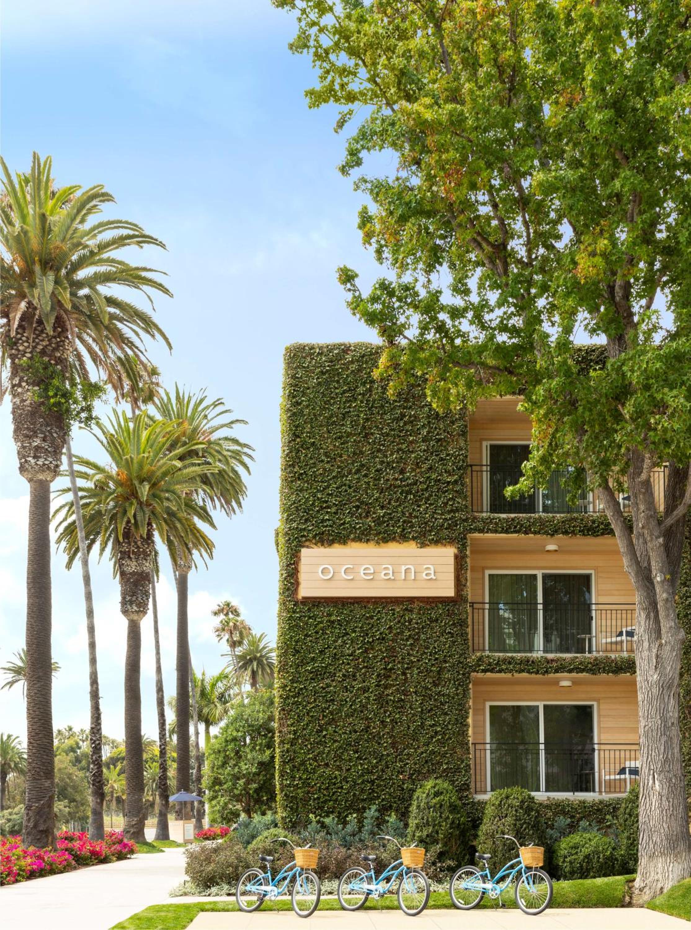 Where Santa Monica softens into something deeply personal in Los Angeles, CA