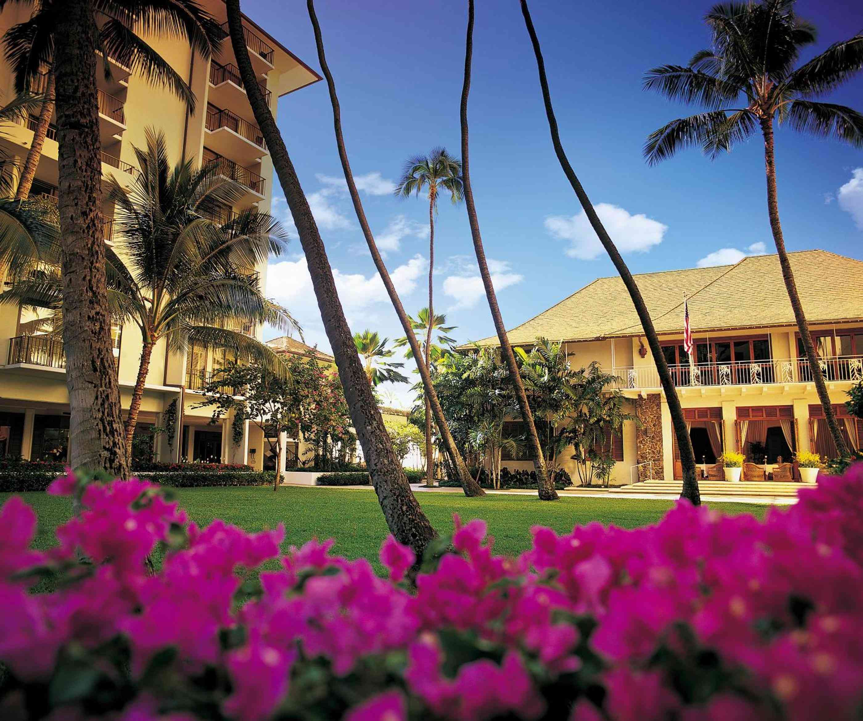 Swaying palms frame yellow plantation-style buildings while vibrant bougainvillea blooms carpet manicured lawns, creating an intimate Hawaiian sanctuary beneath endless blue skies.