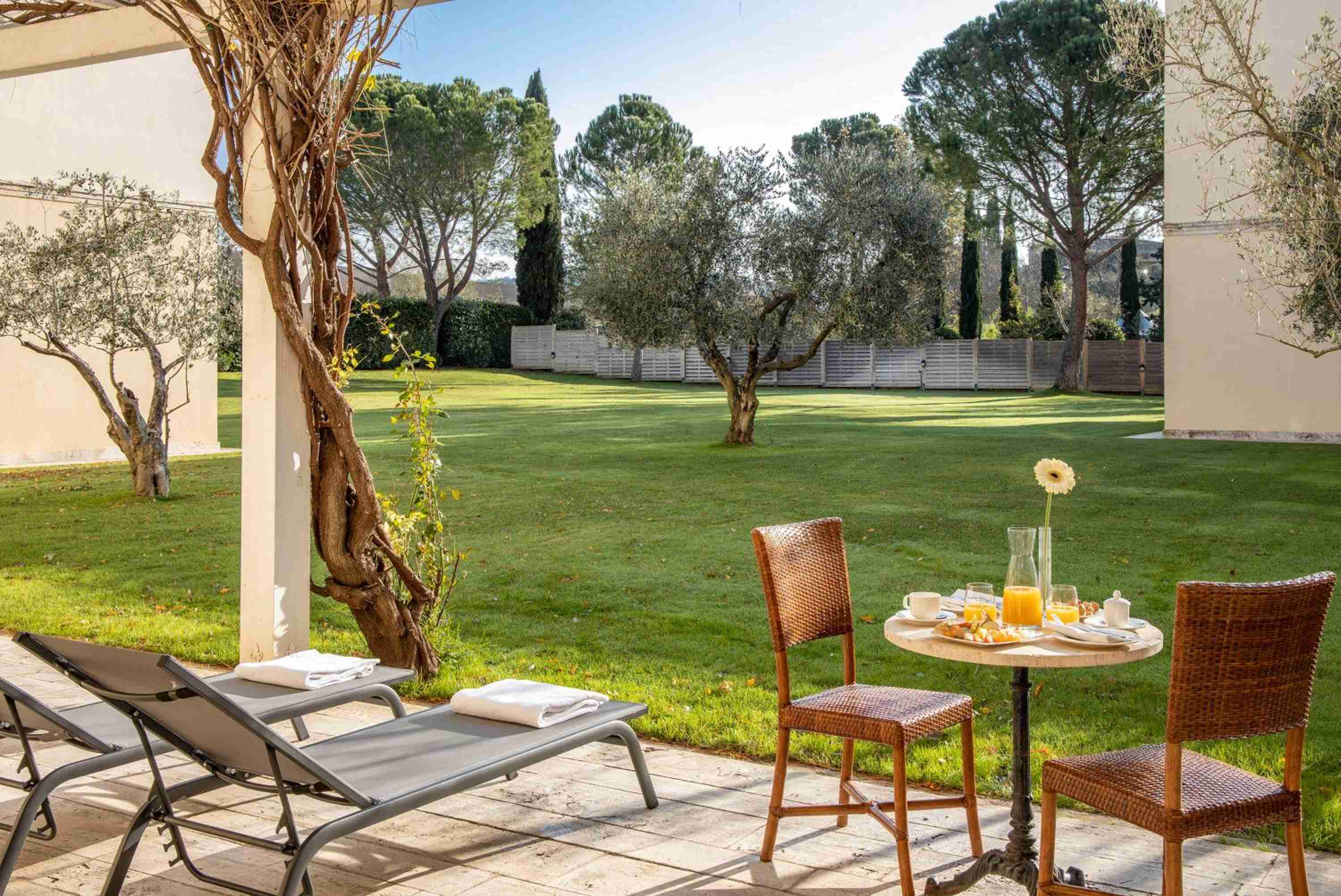 Wicker chairs frame morning coffee beneath twisted olive branches, while manicured lawns stretch toward cypress-dotted horizons in this serene Tuscan sanctuary.