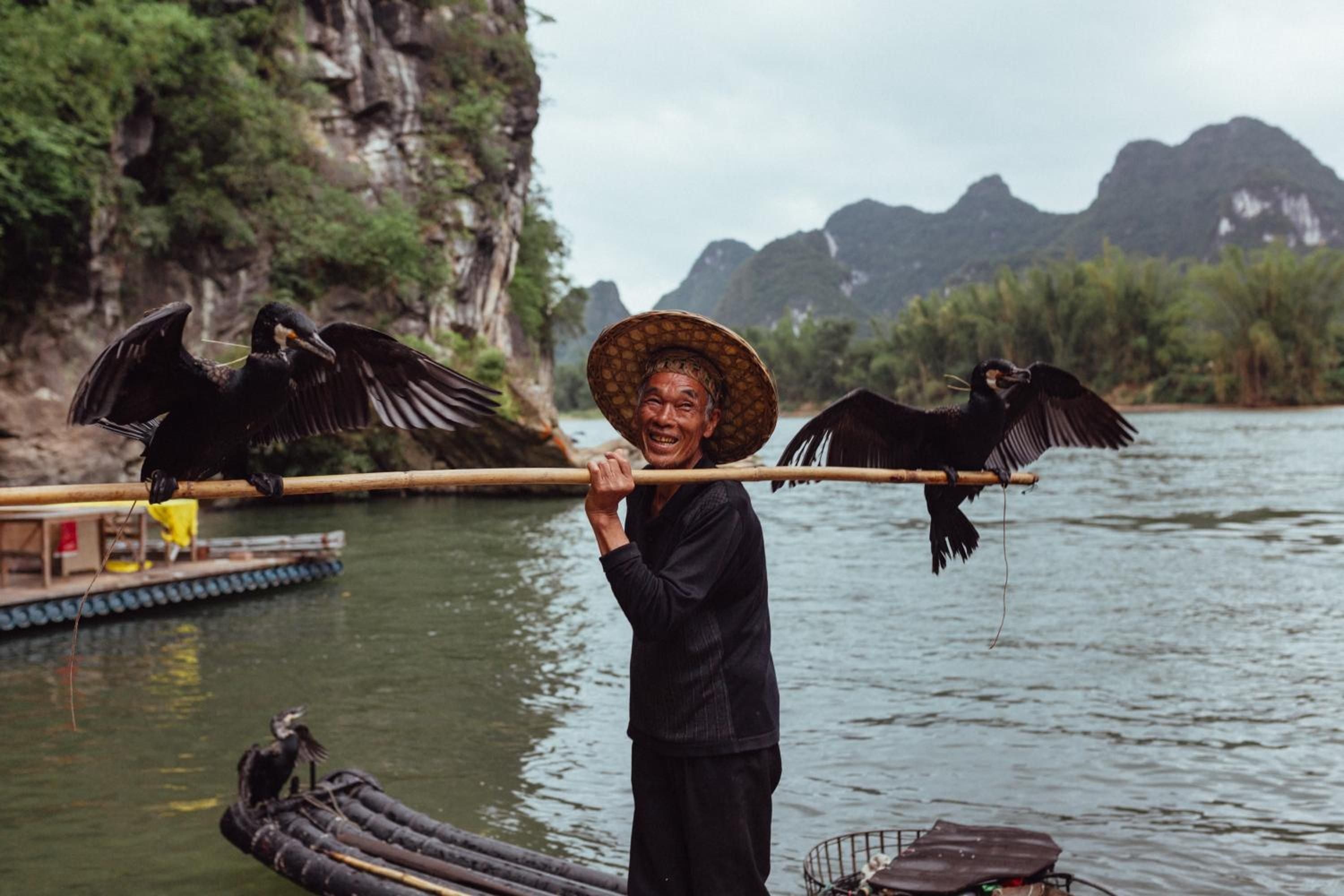 Traditional cormorant fishing unfolds along the Li River, where weathered fishermen in conical hats command their ancient avian partners against limestone karst peaks.