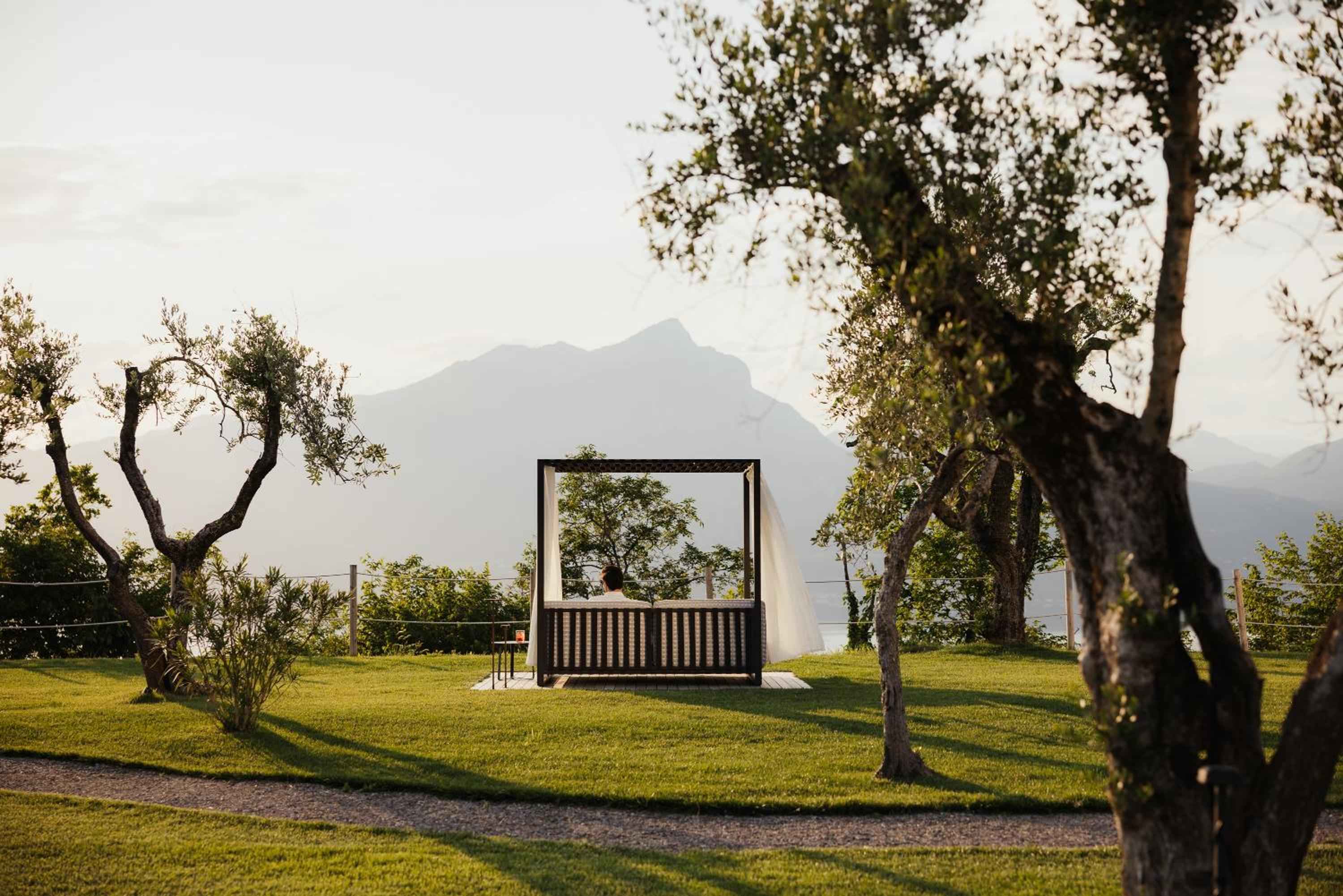 Ancient olive trees frame a contemplative viewing portal where golden hour light meets dramatic mountain silhouettes, creating an intimate theater of Tuscan tranquility.