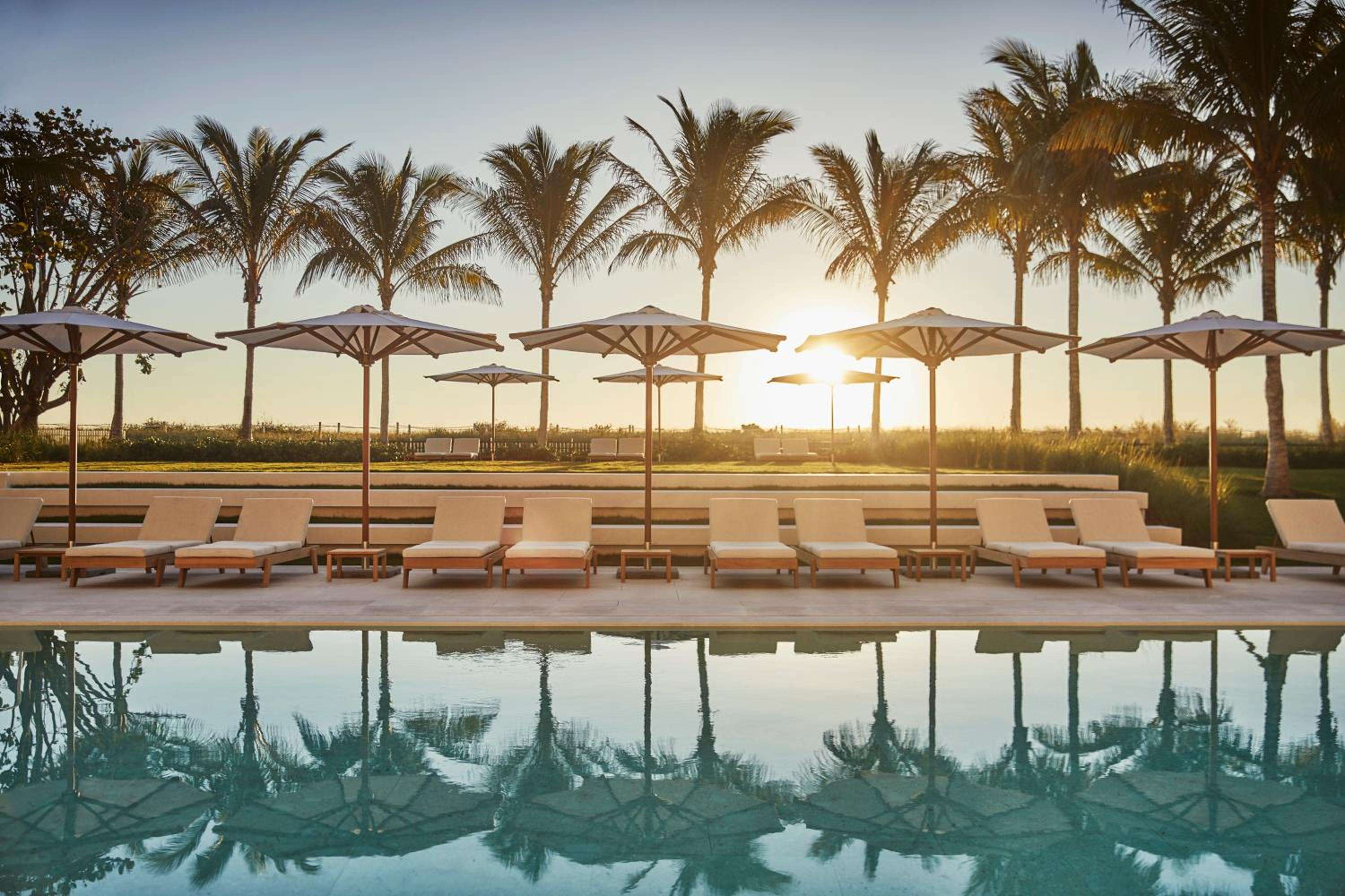 Golden hour bathes poolside loungers in honeyed light as palm fronds sway overhead, creating perfect symmetry between tropical luxury and serene reflection.