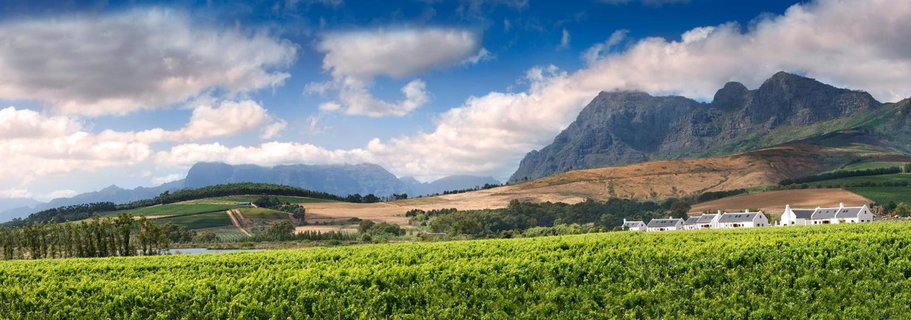 Discover timeless elegance at Babylonstoren, Simondium in Simondium, Western Cape