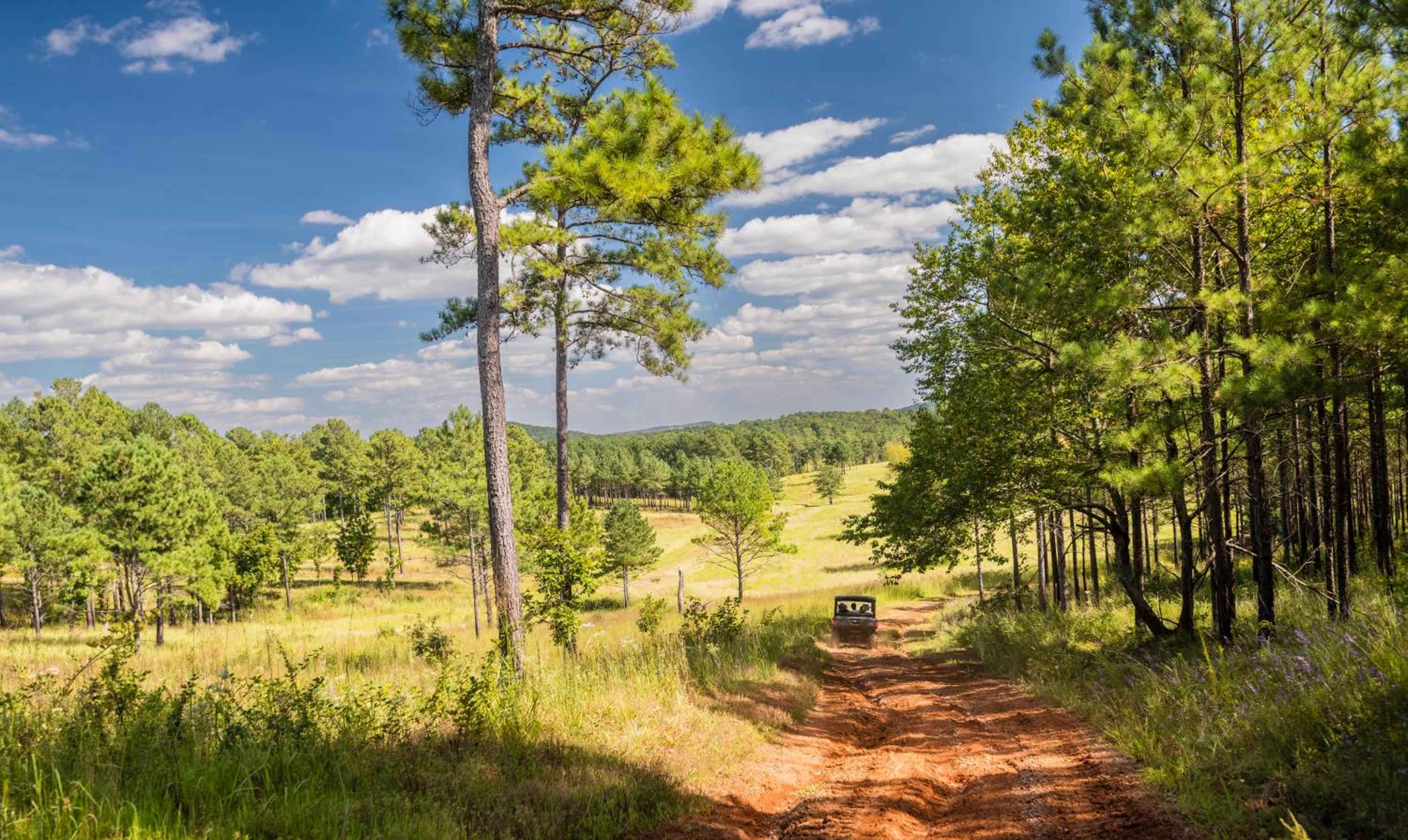 Red clay trails wind through Georgia's rolling countryside, where towering pines frame pastoral meadows and distant ridgelines create an idyllic Southern escape.
