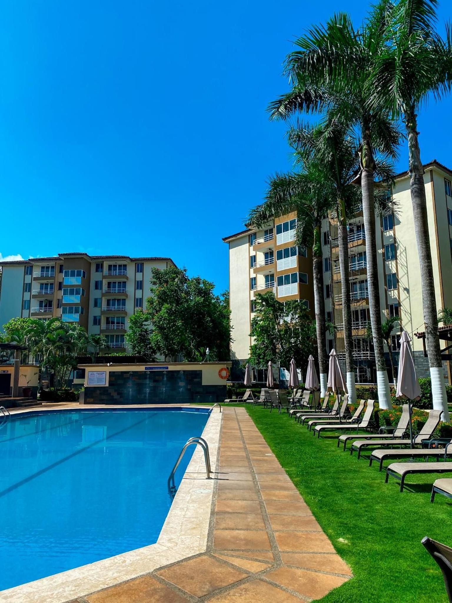 Emerald palms frame a pristine swimming pool where azure waters mirror the cloudless sky, while guest loungers await beneath folded umbrellas in this tranquil courtyard oasis.