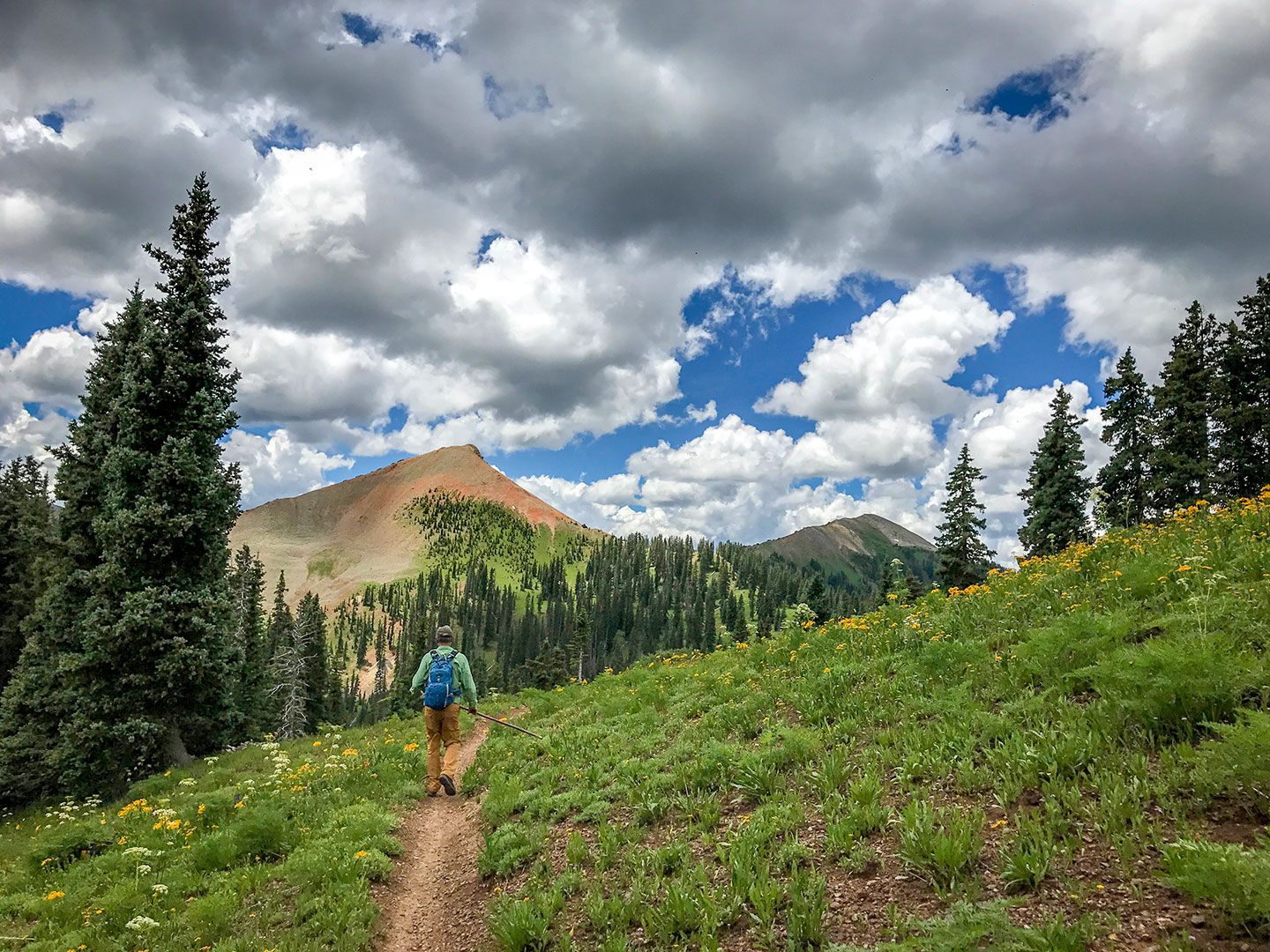 Alpine meadows burst with wildflowers as guests trek mountain trails, where dramatic peaks and endless sky create an unforgettable Colorado wilderness experience.