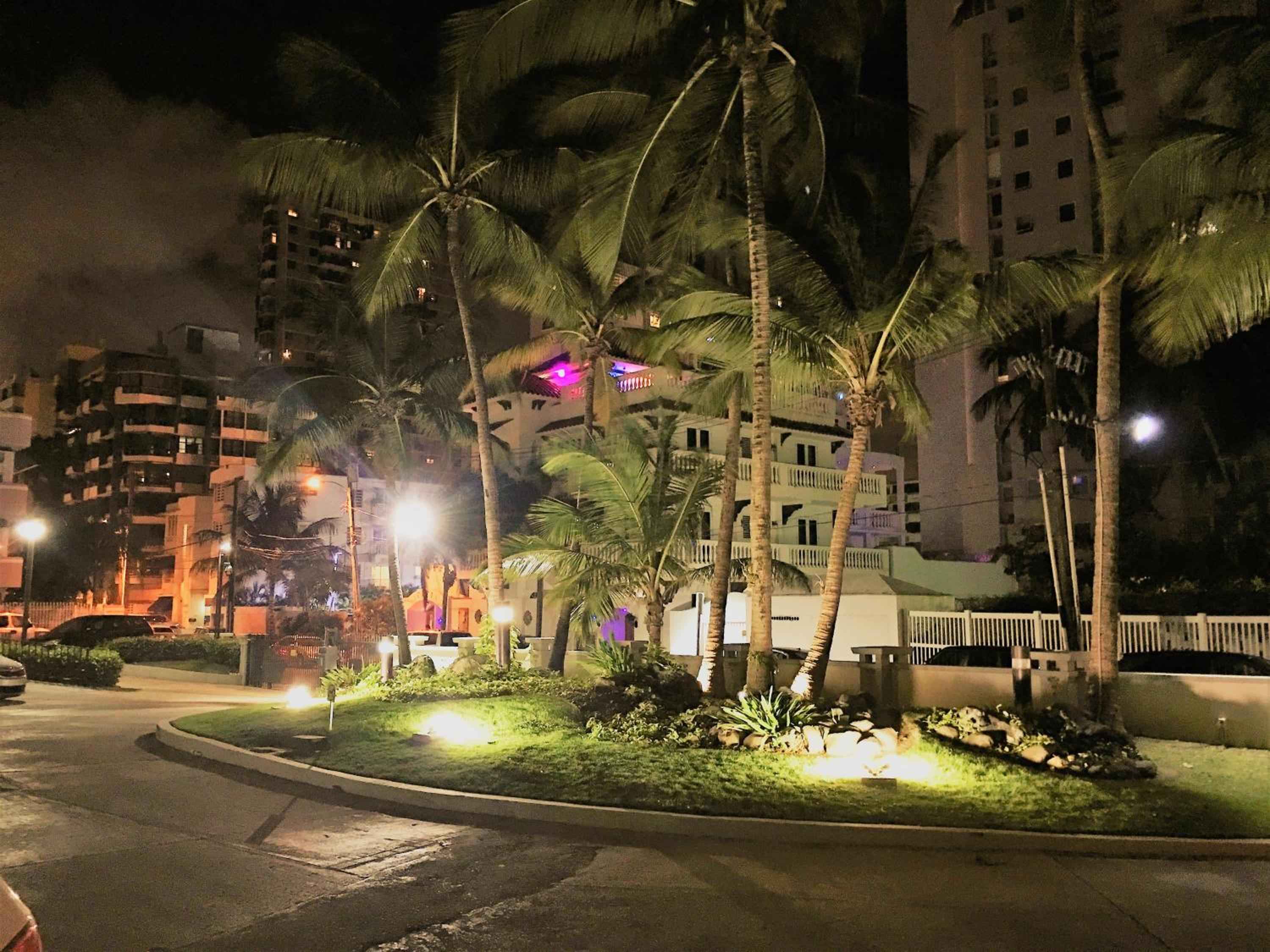 Palm fronds sway above the illuminated circular garden entrance, where tropical landscaping and warm lighting create an inviting gateway to this boutique retreat.
