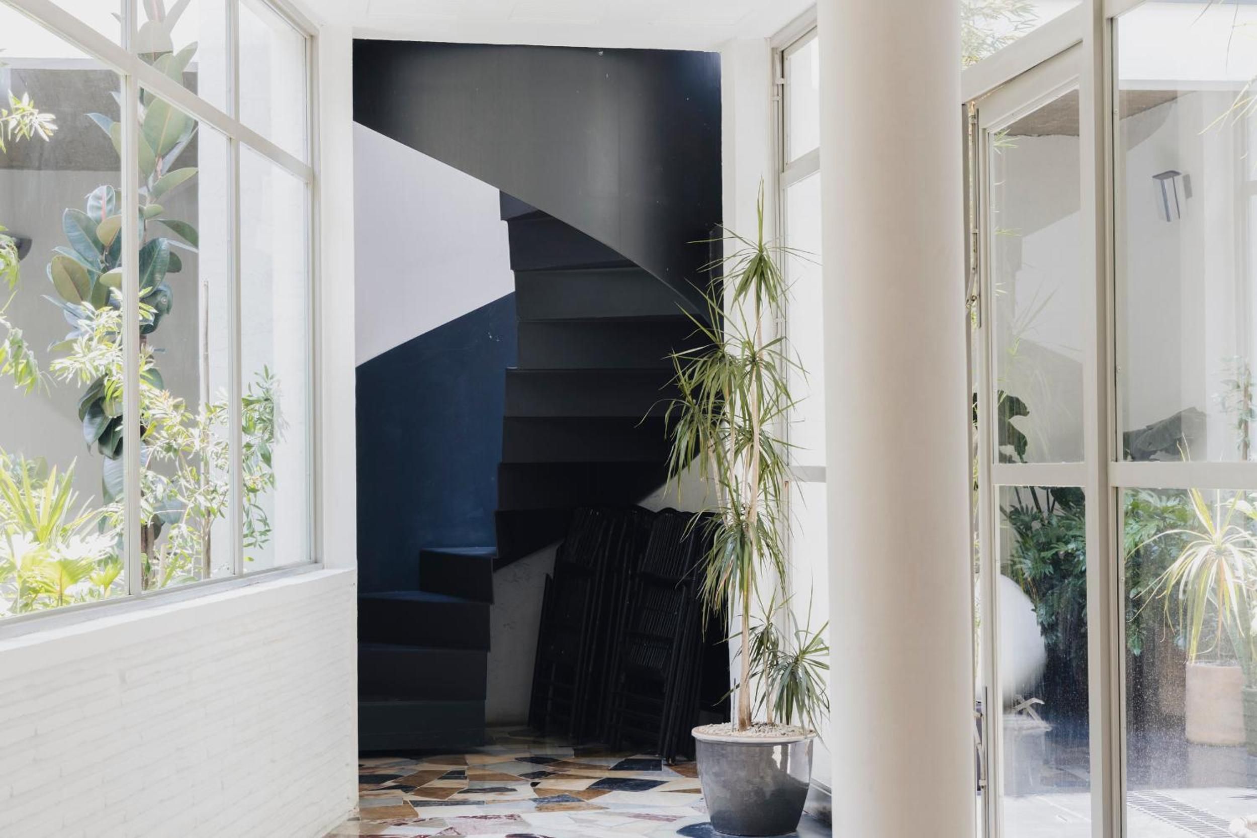 Sunlight filters through floor-to-ceiling windows, illuminating the sculptural spiral staircase where tropical plants and geometric tiles create an artful interplay of shadow and light.