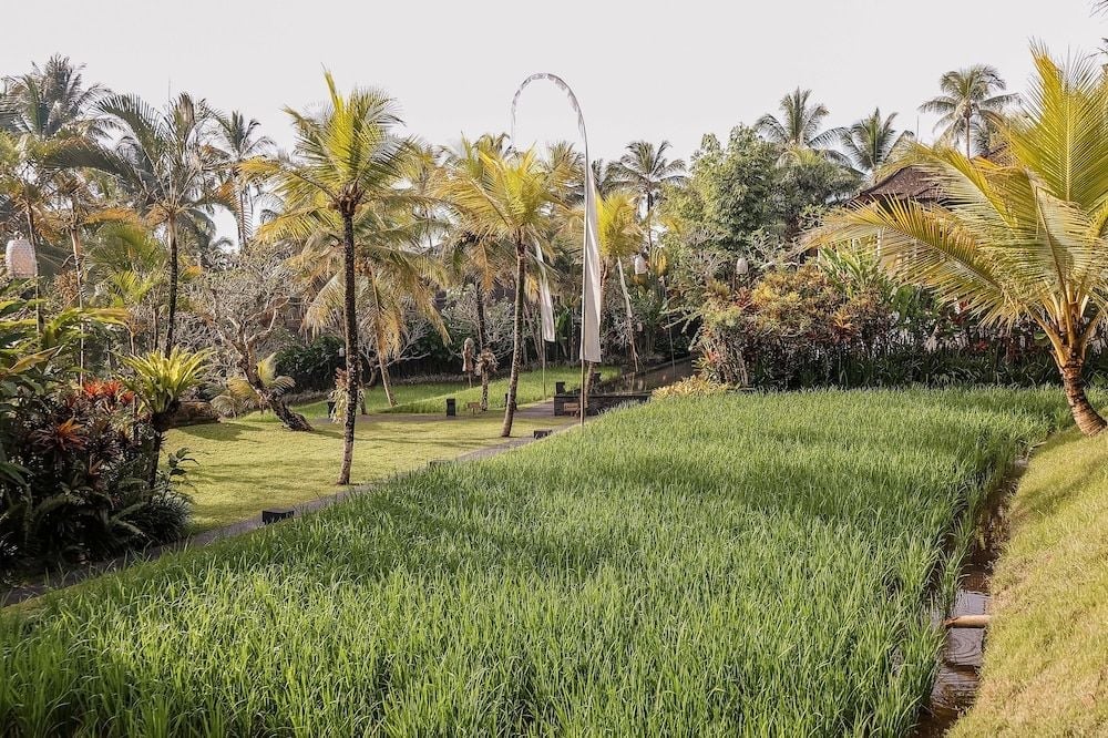 Emerald rice paddies stretch between swaying coconut palms, creating an authentic Balinese tapestry where traditional farming meets tropical luxury in perfect harmony.