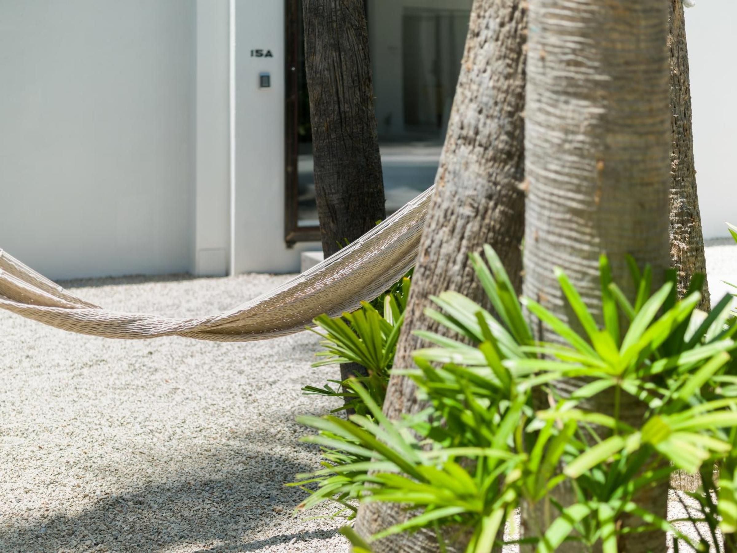 A woven hammock cradles between weathered palm trunks, where tropical plants flourish in sandy soil and room 15A beckons just steps away.