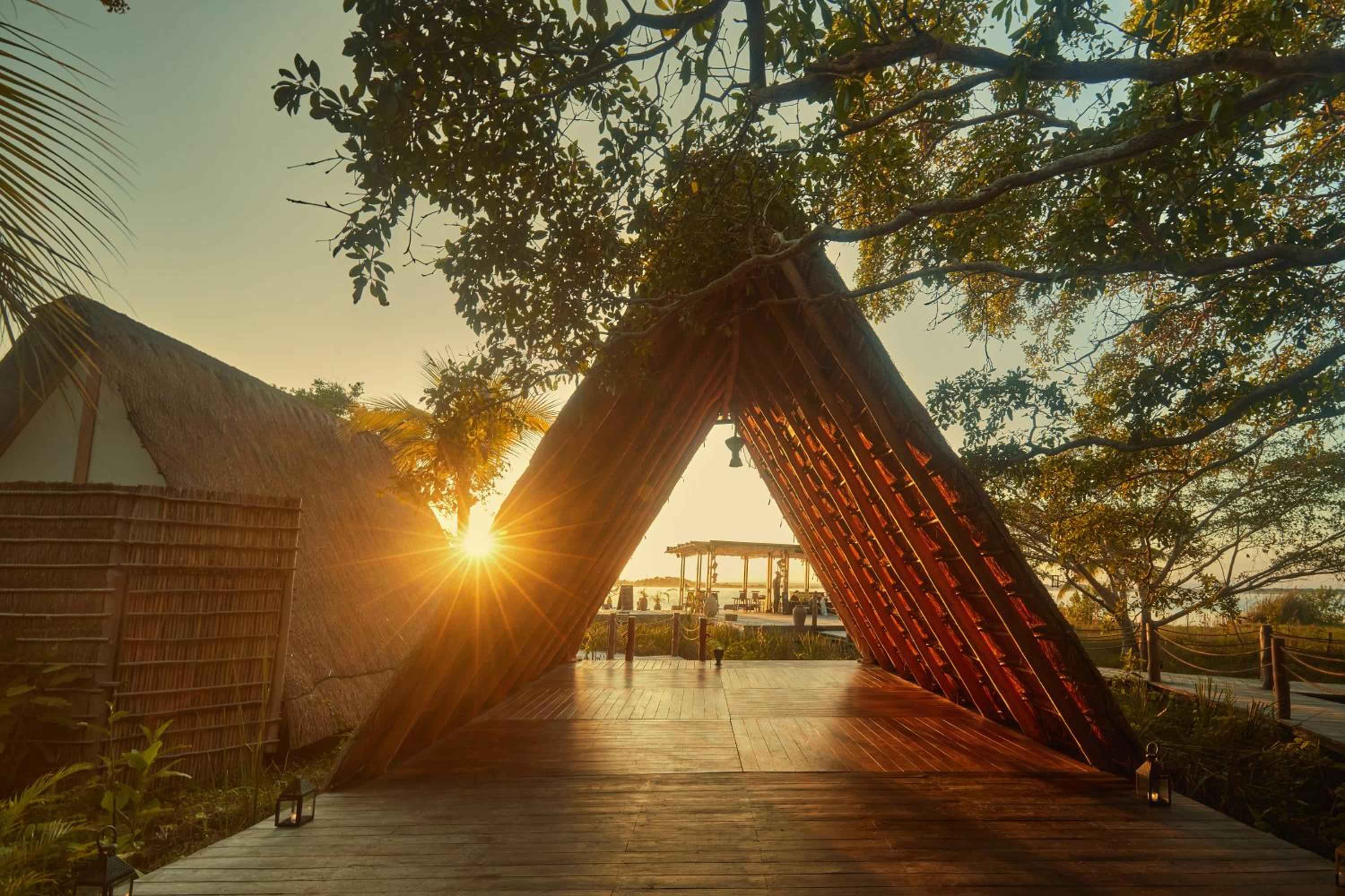 Sunlight streams through Habitas Bacalar's striking bamboo entrance pavilion, where geometric shadows dance across warm timber decking beneath swaying jungle canopy.