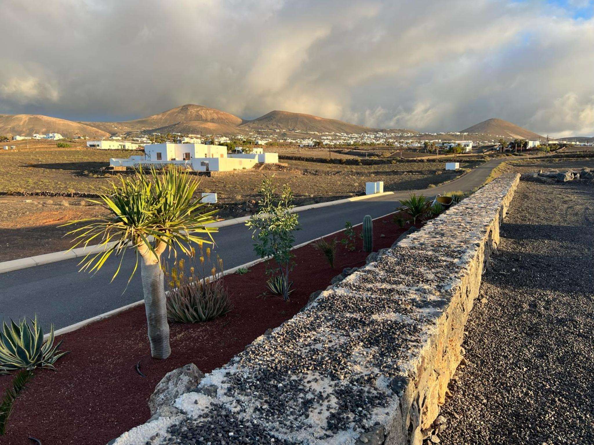 Volcanic stone walls and native dragon trees frame the hotel's minimalist architecture against Lanzarote's dramatic moonscape, where ancient lava fields meet contemporary design.