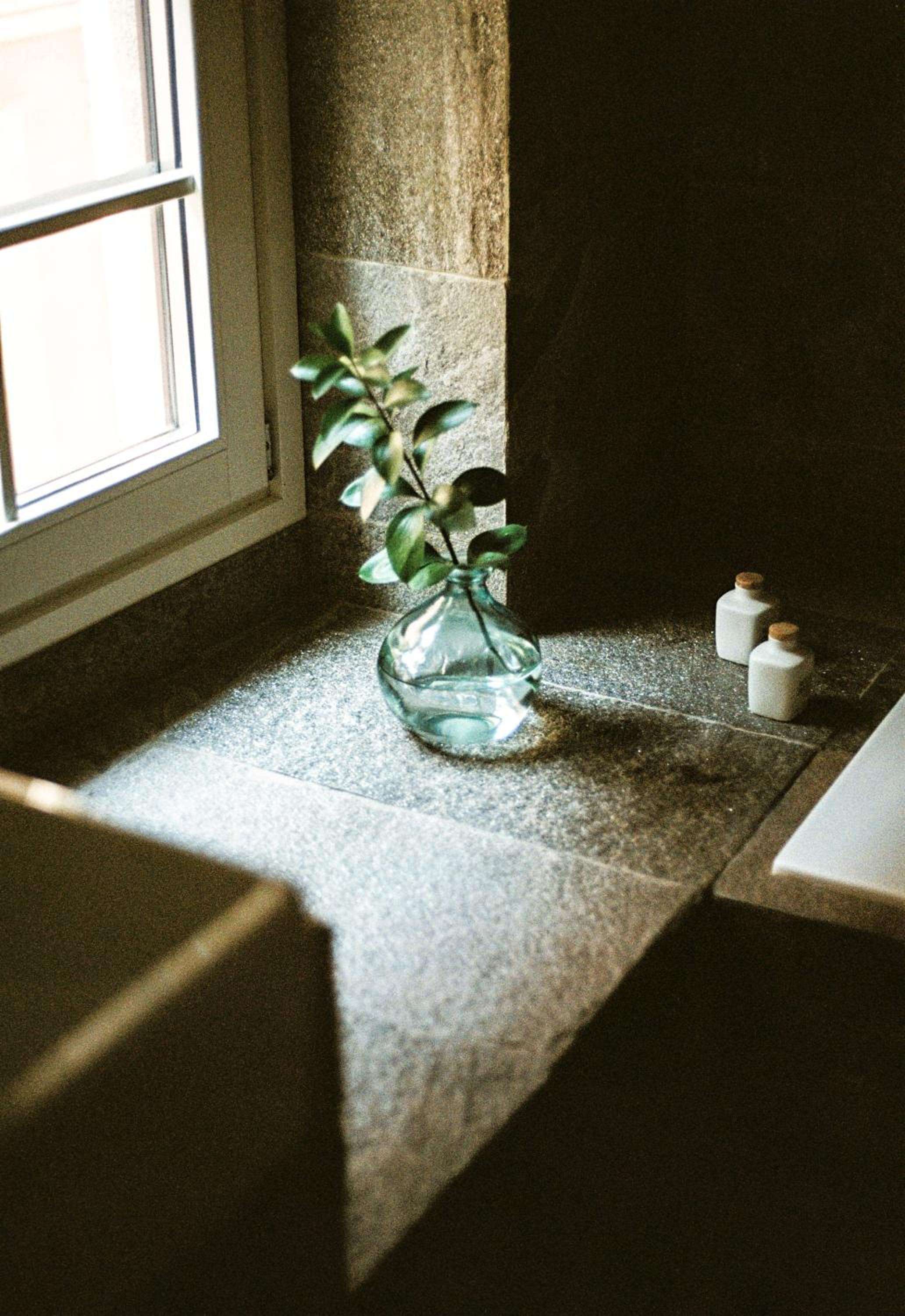 Sunlight streams across weathered stone windowsills where delicate eucalyptus branches catch the Mediterranean light, while ceramic vessels add quiet elegance to this Gothic corner.