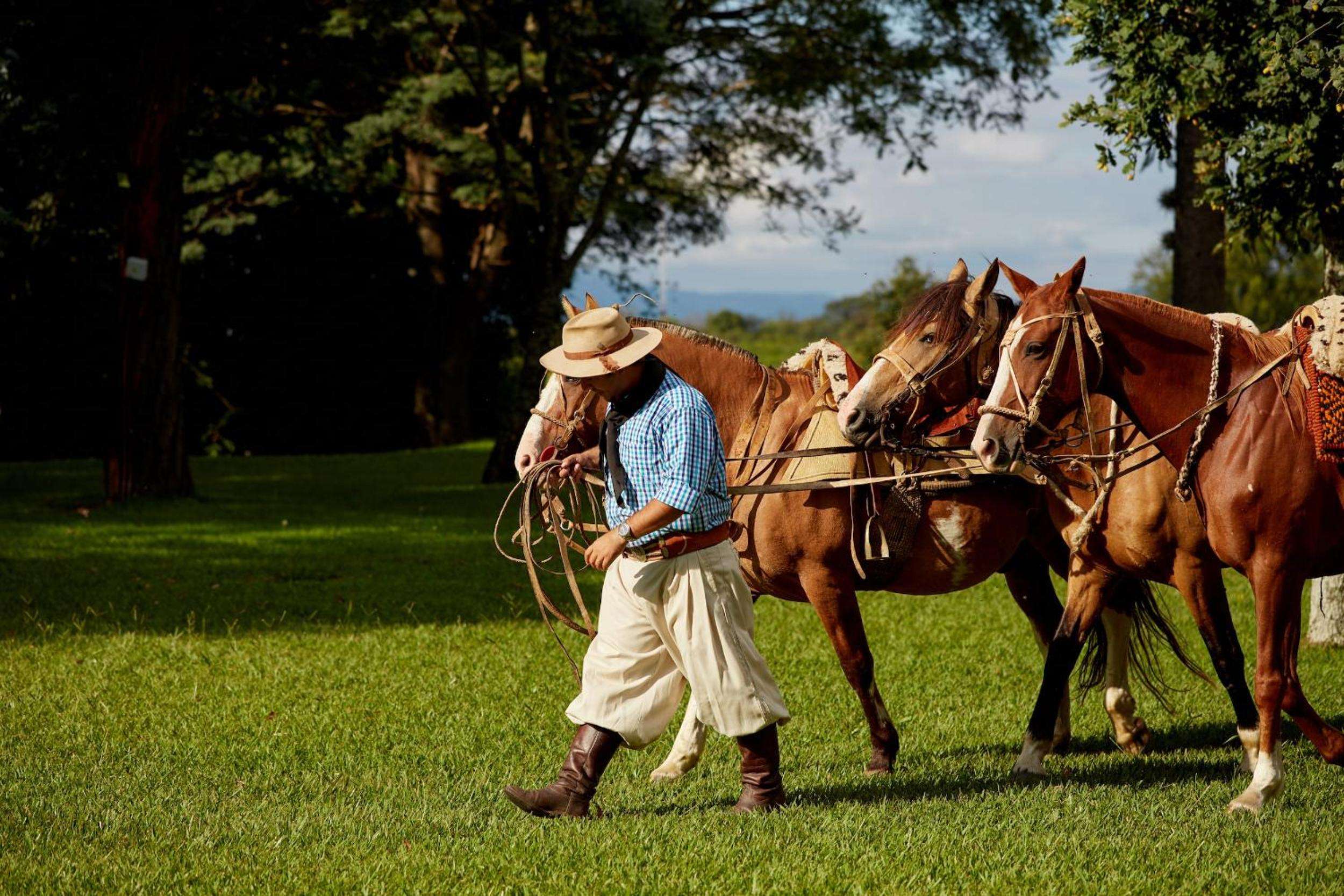 Gaucho traditions come alive as skilled horsemen tend to their mounts on emerald grounds, where golden afternoon light illuminates centuries-old equestrian heritage.