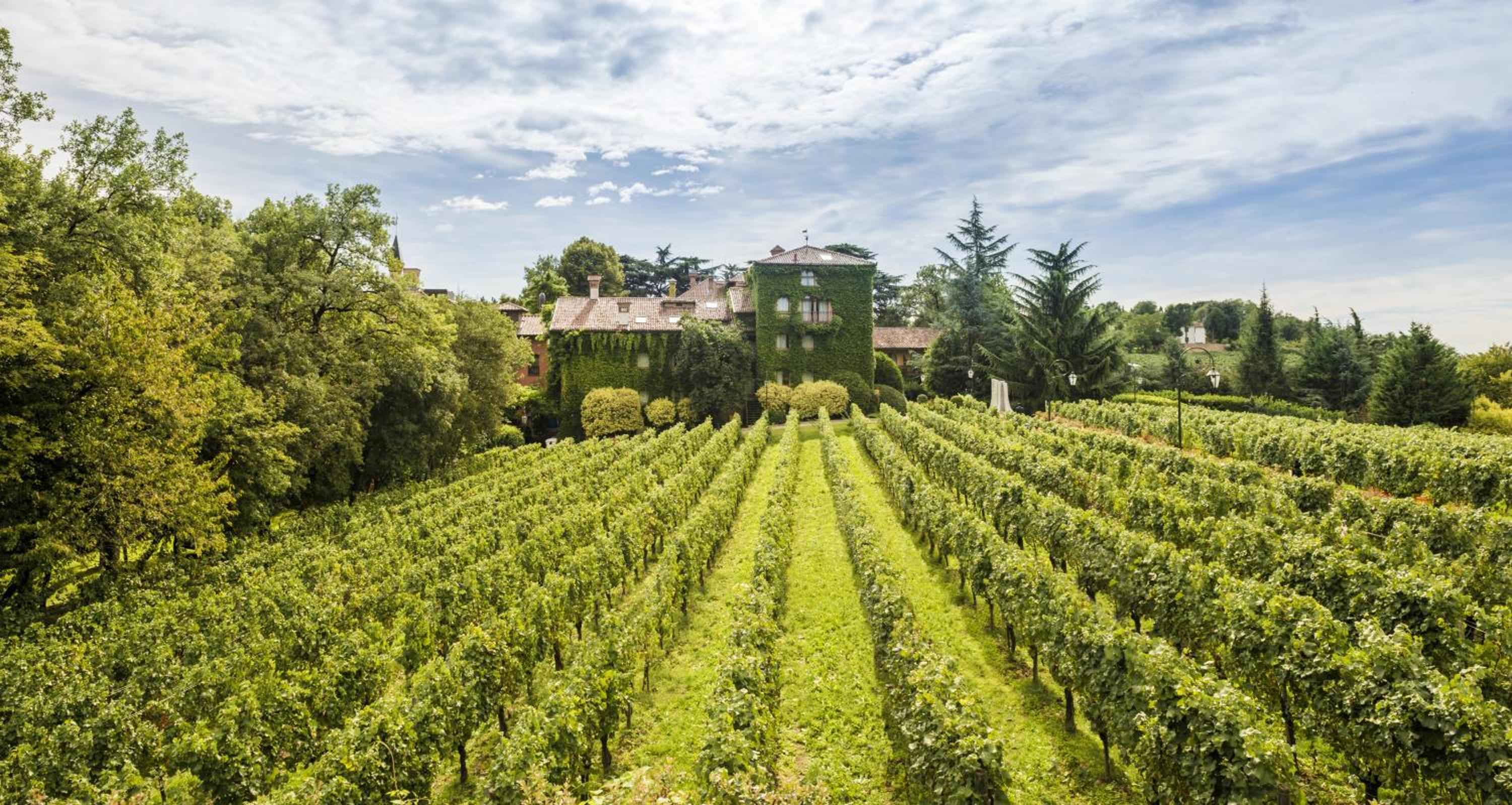 Where Franciacorta's rolling hills meet the art of Italian living in Erbusco, Lombardy