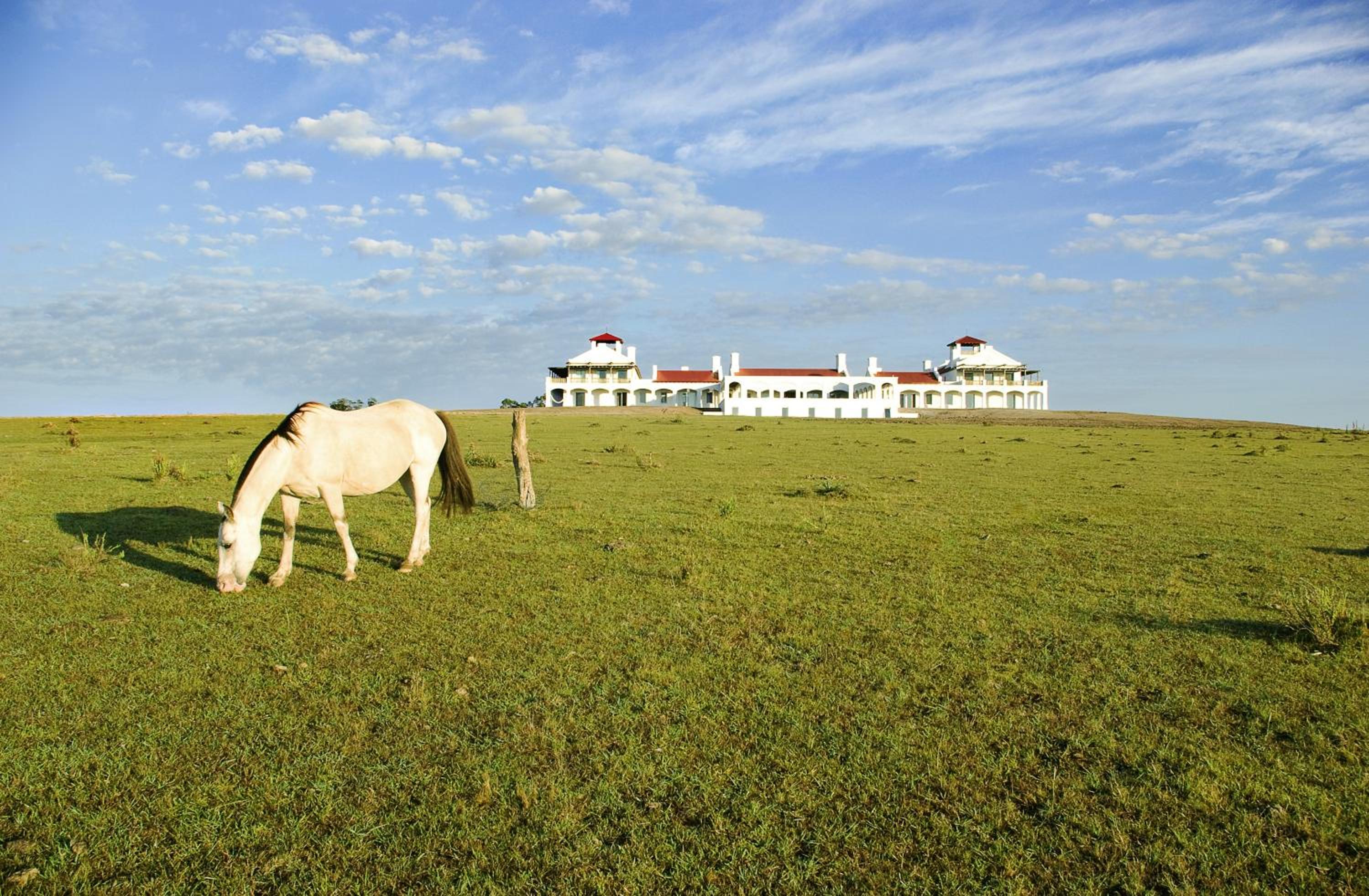Where contemporary art and gaucho tradition converge on the plains of José Ignacio in José Ignacio, Departamento de Maldonado